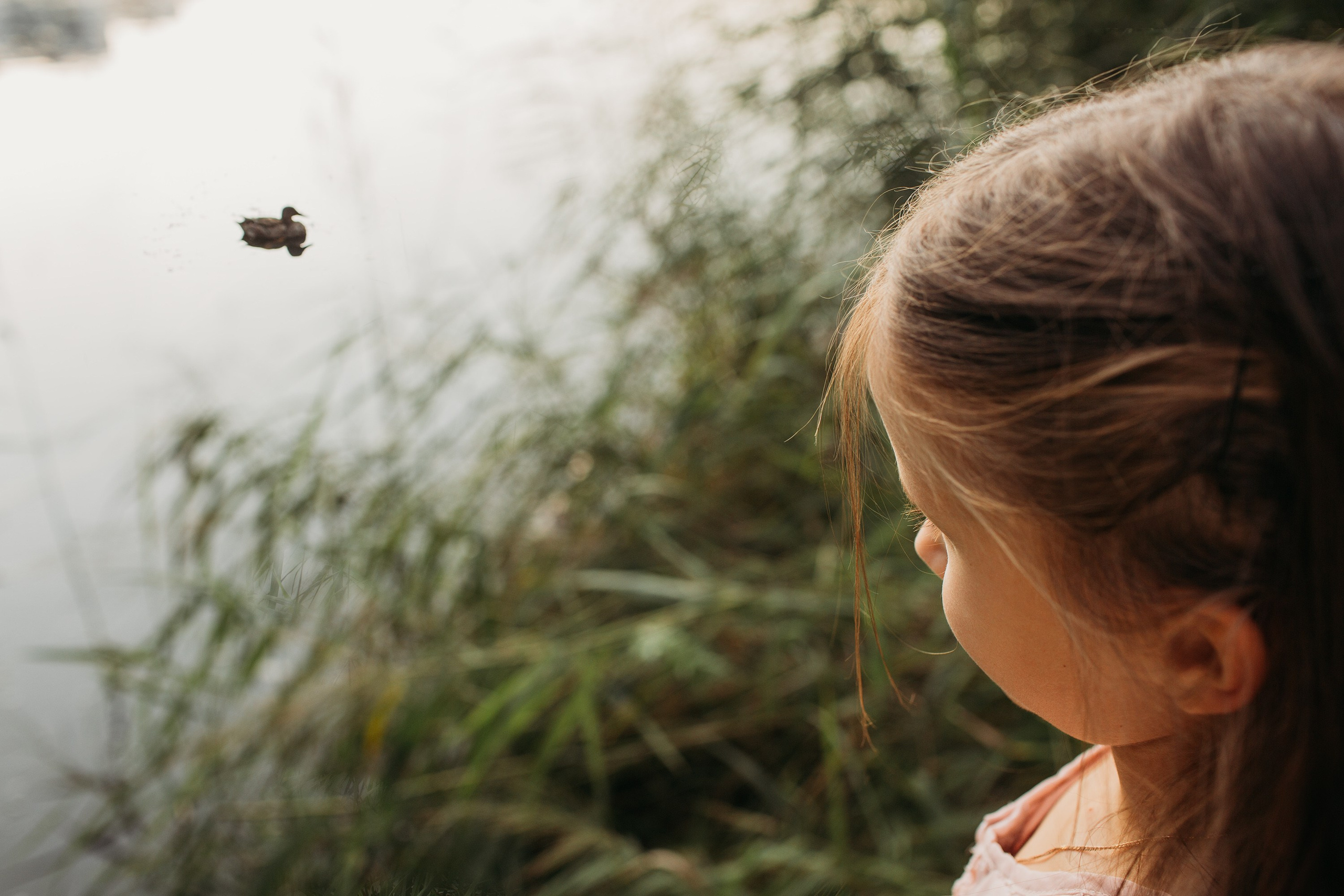 Настя, Ксюша, Надя. Семейный фотограф Томск