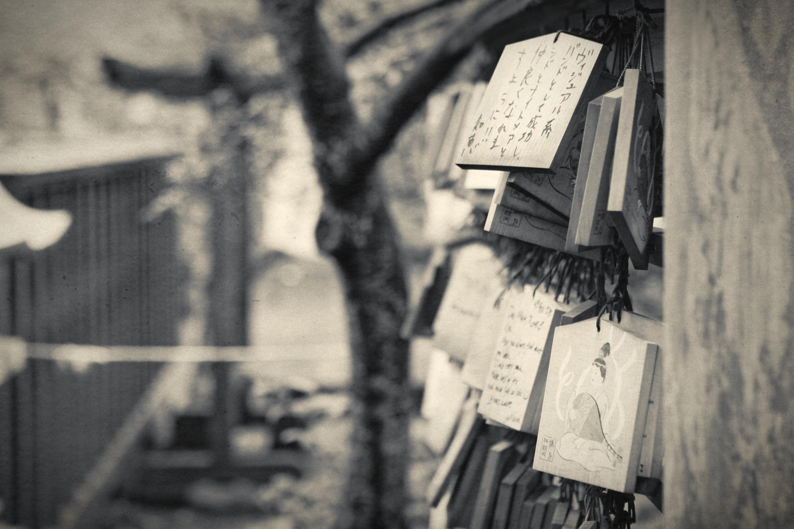 Япония. Фотография, ретушь, сканирование, восстановление старых фото, интерьерная съёмка, студия. Данилов Александр, Москва