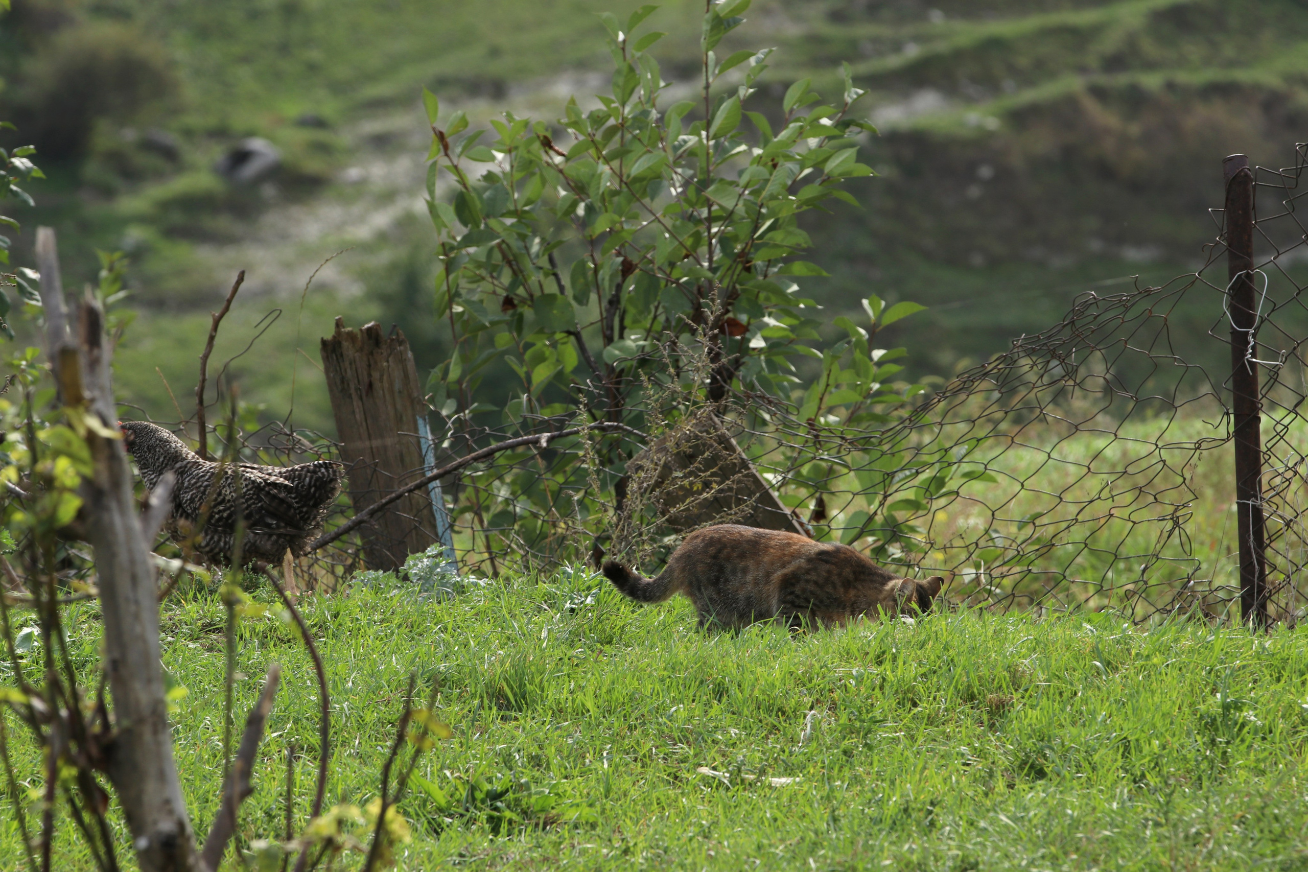 Приэльбрусье. Сентябрь 2024. Путешественник-фотограф из Санкт-Петербурга Татьяна Свистулина