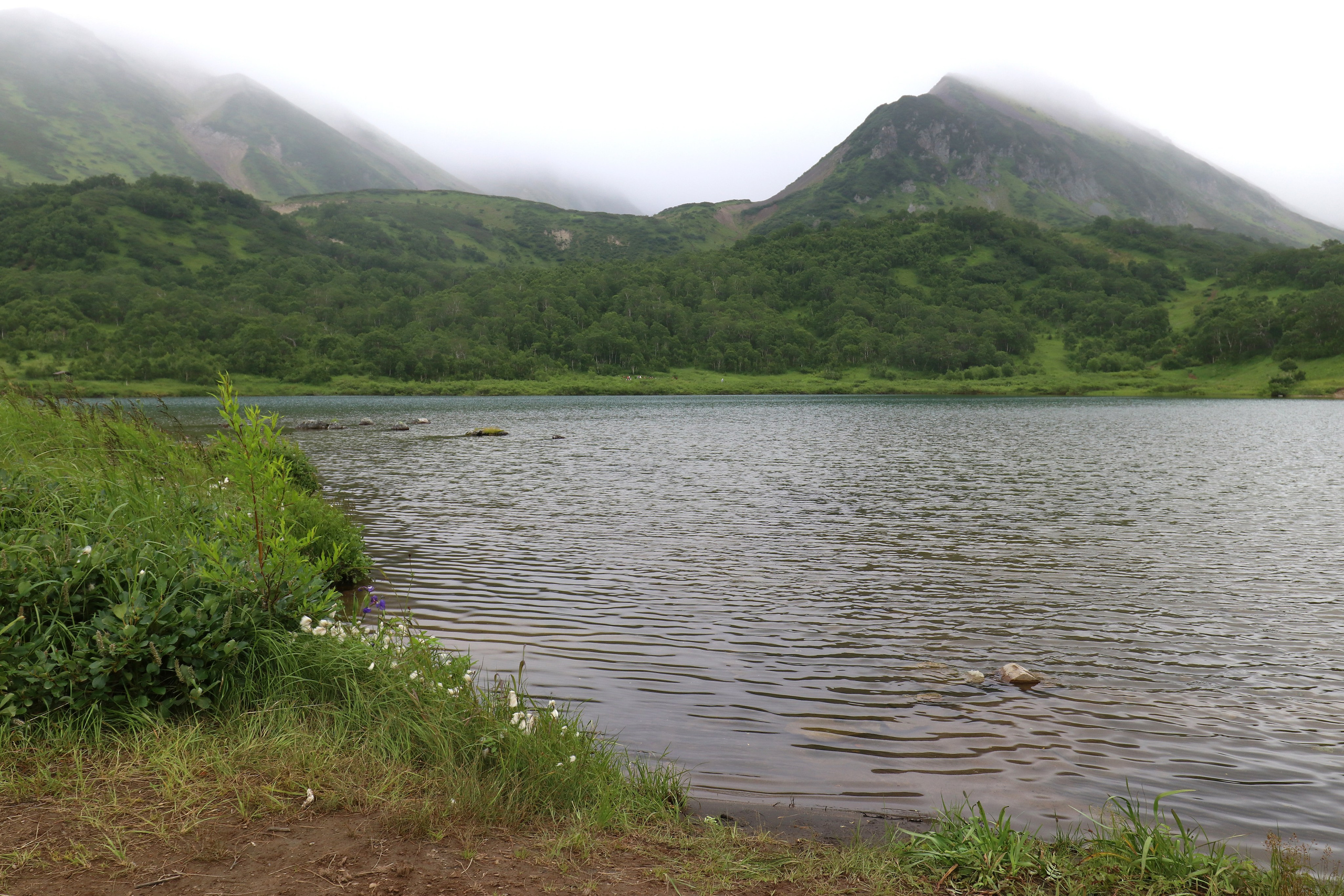 Камчатка и о. Парамушир. Июль 2024. Путешественник-фотограф из Санкт-Петербурга Татьяна Свистулина