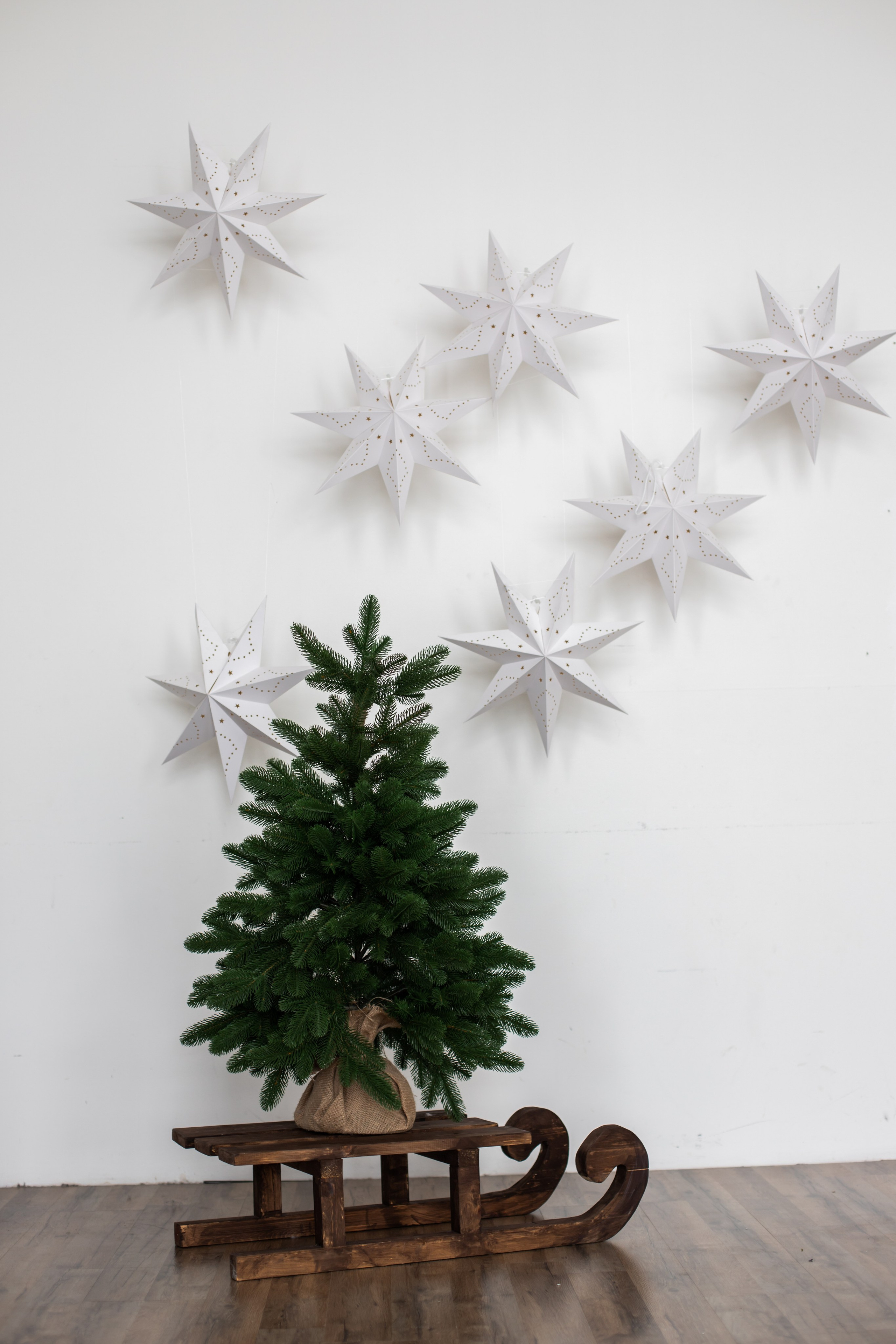 Циклорама. Фотограф г. Хабаровск. Семейные и индивидуальные съёмки