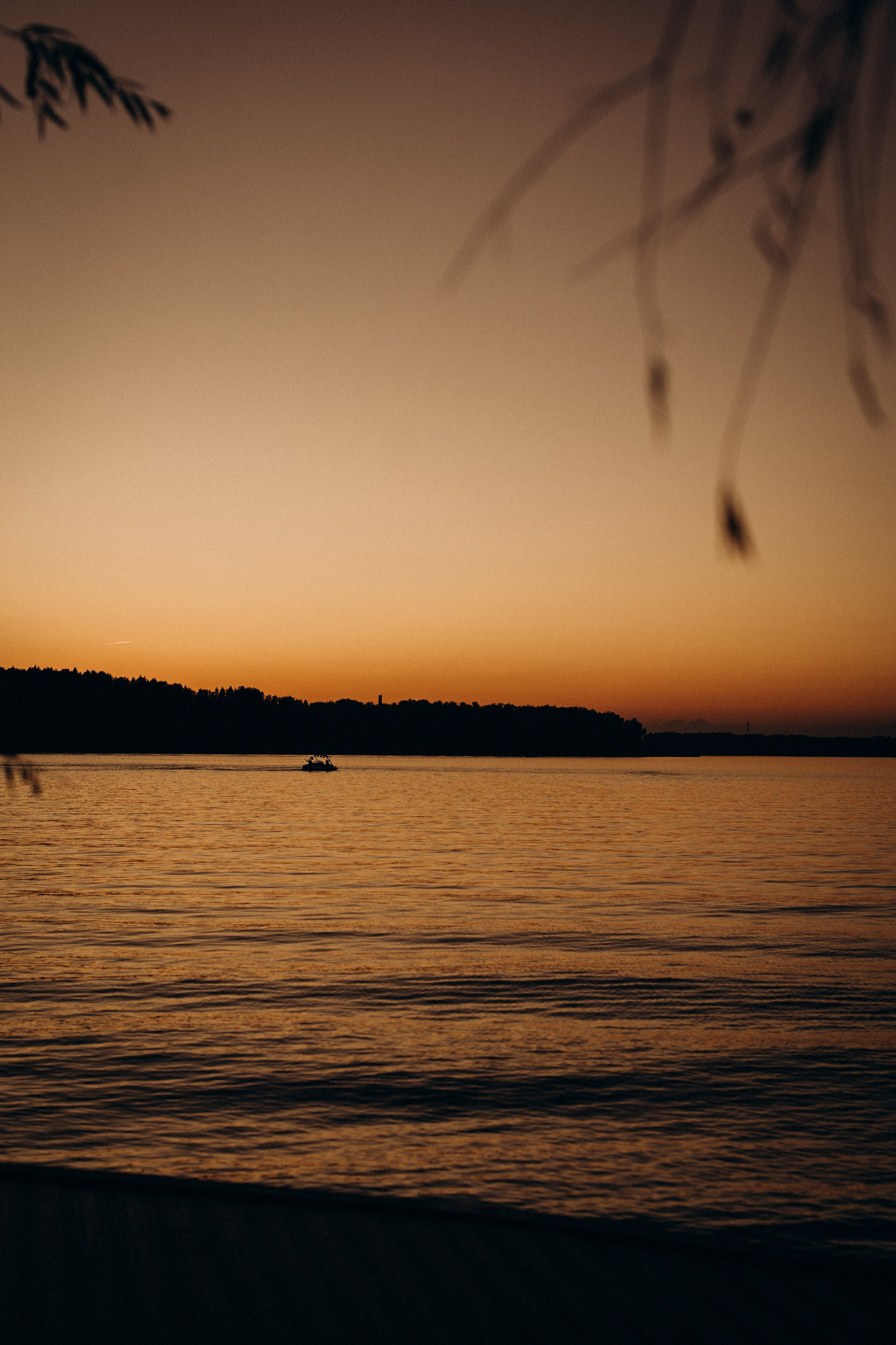 ❤️. Евгения Пелипас