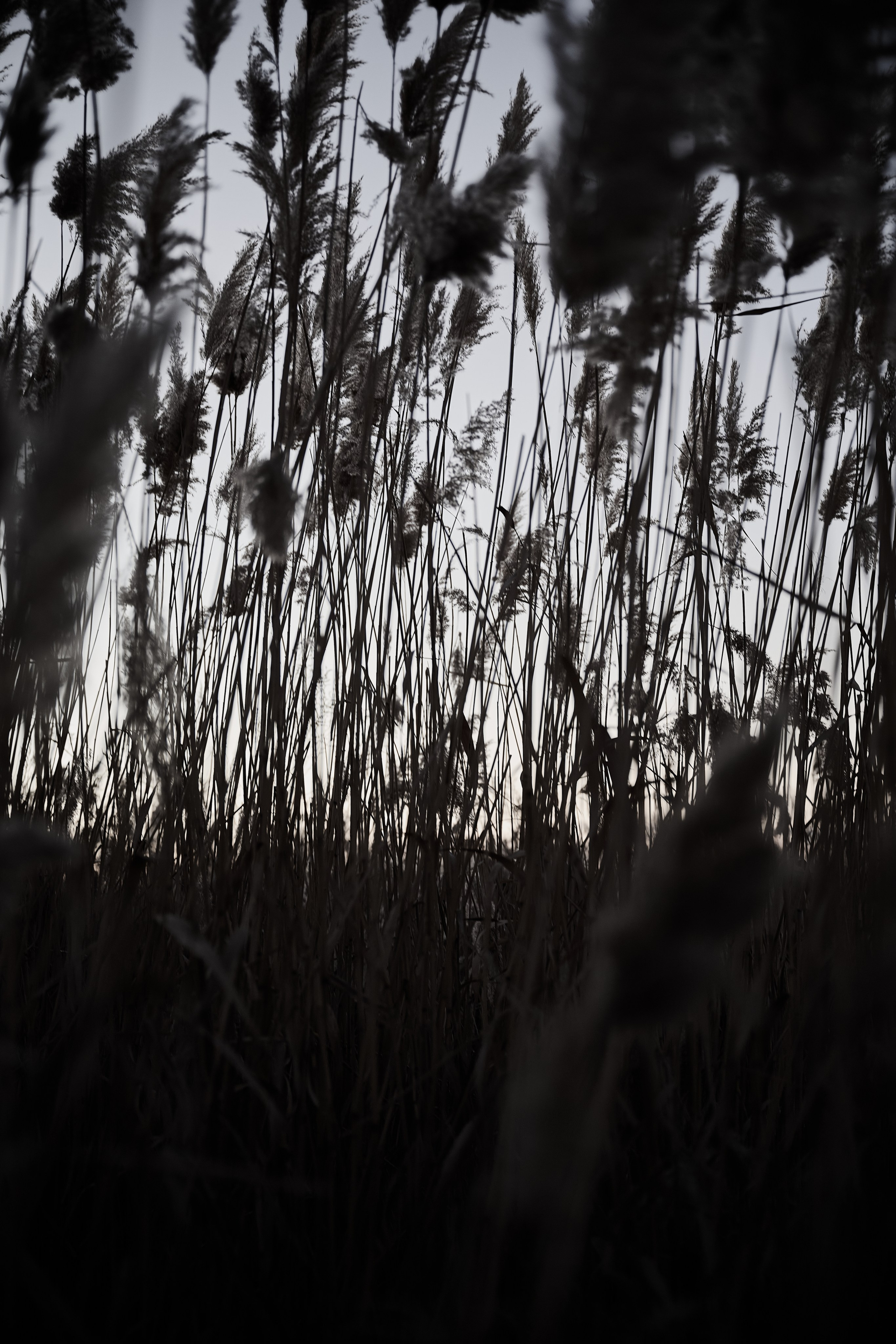 Дороги Территорий. Фотограф Роман Адлер