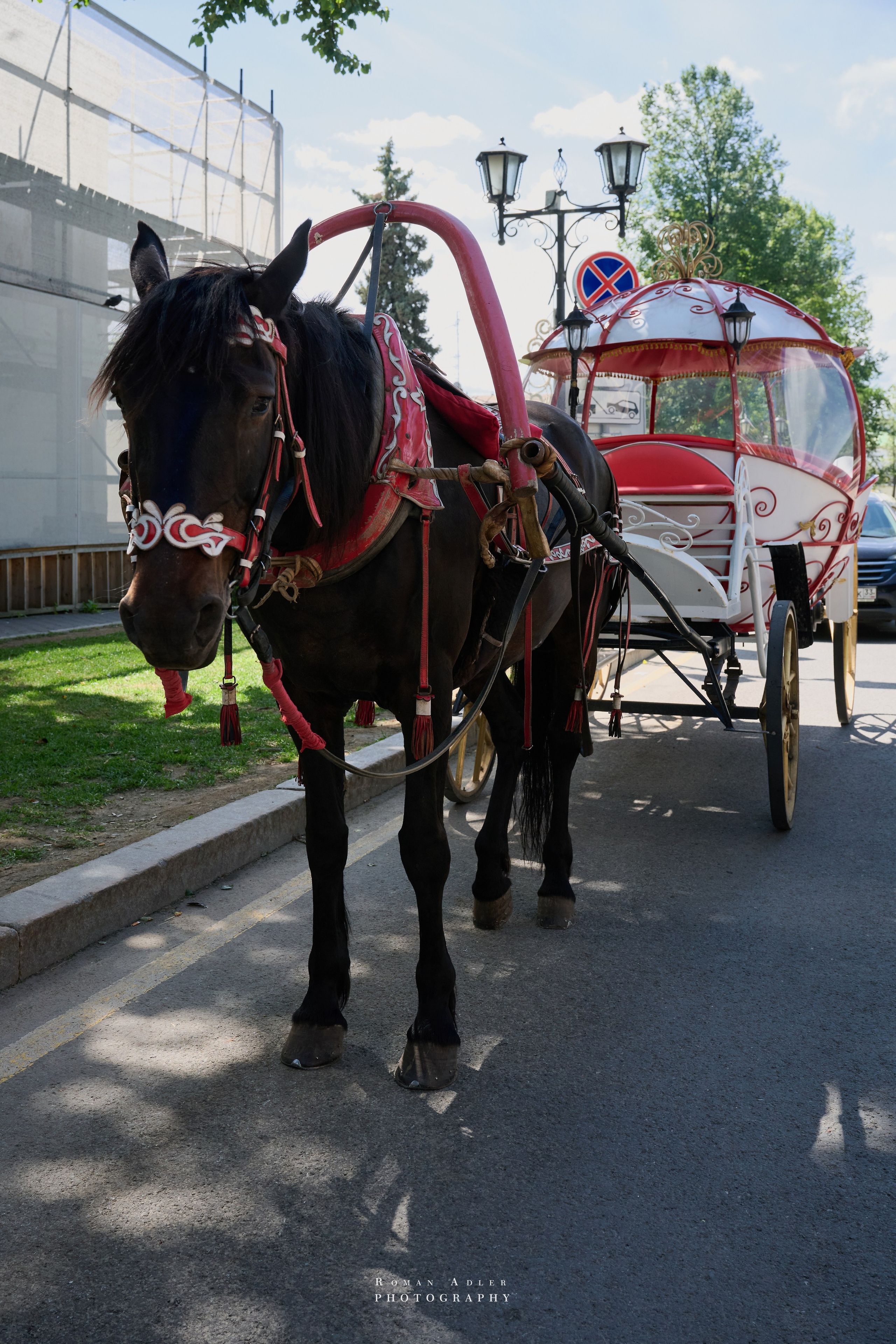 Суздаль. Июнь 2025. Фотограф Роман Адлер