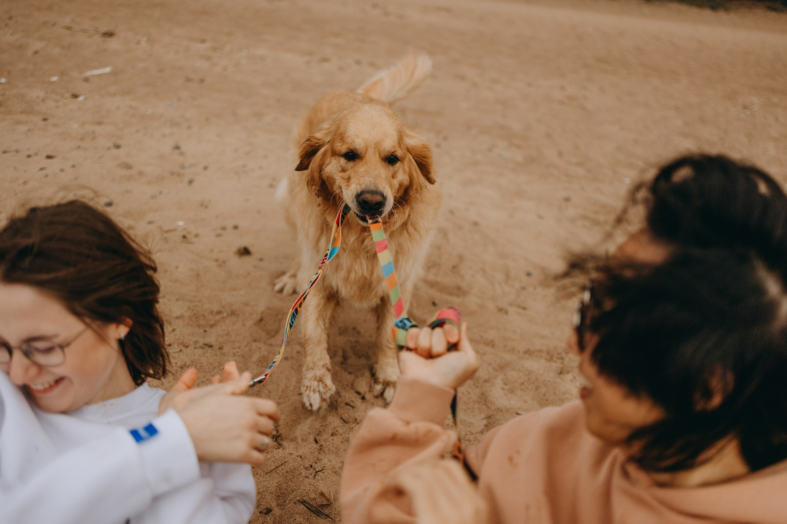 Фоси и его семьи. Фотограф — Анималист | Санкт-Петербург