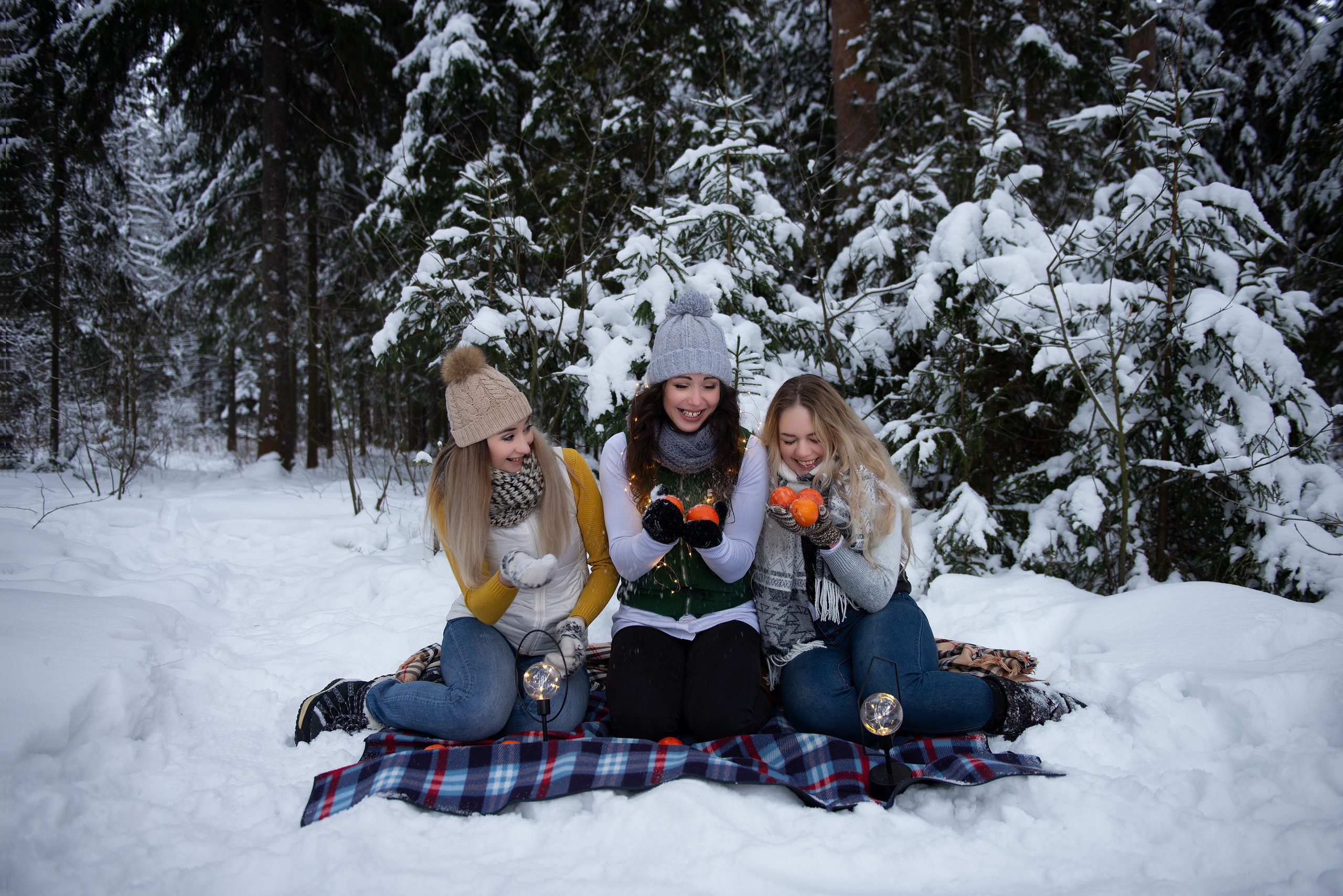 Зимний лес прекрасен. Творческий фотограф Вологда