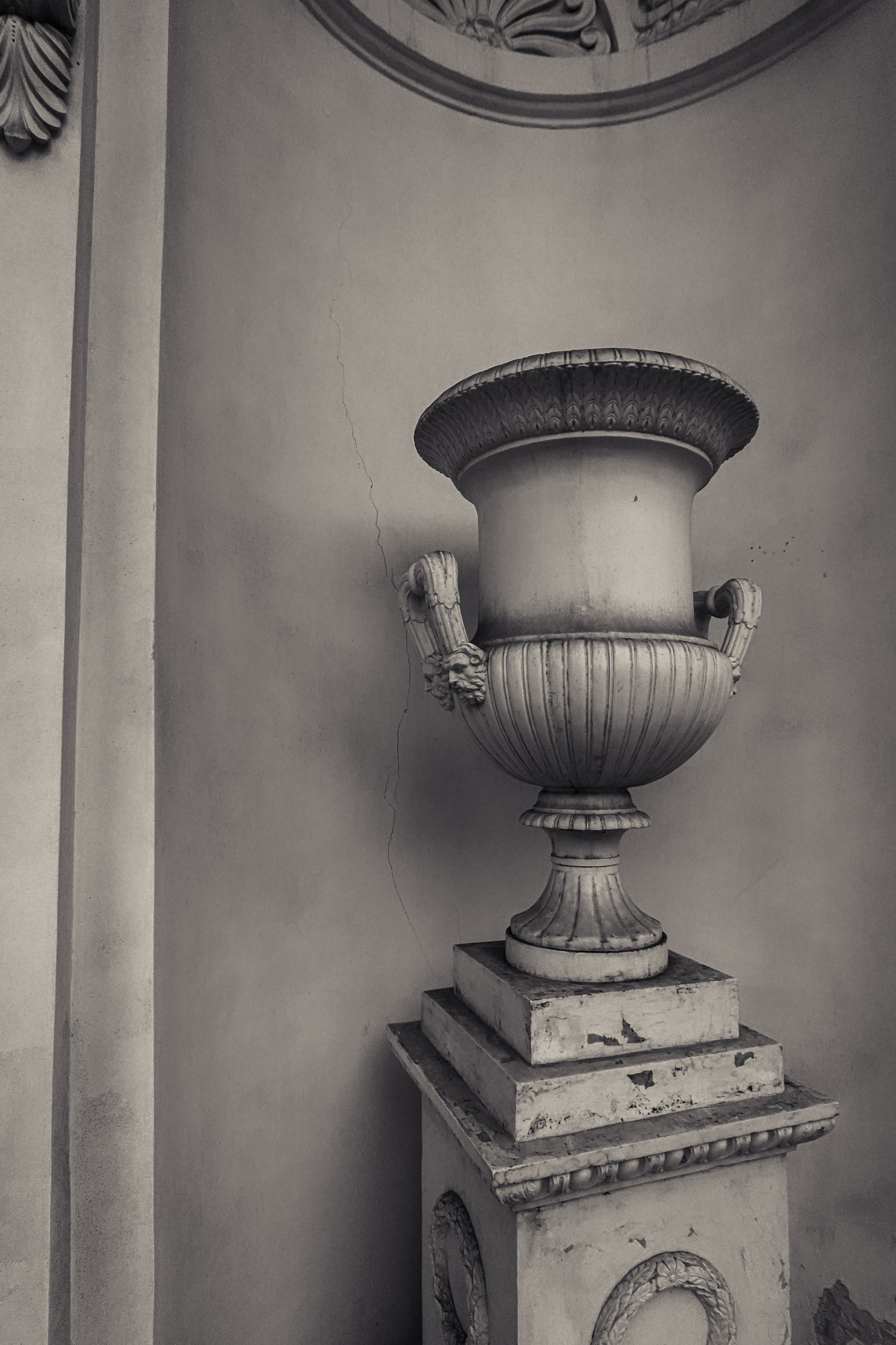 Фильм «В поисках сознания». Фотограф Алиса Аспер