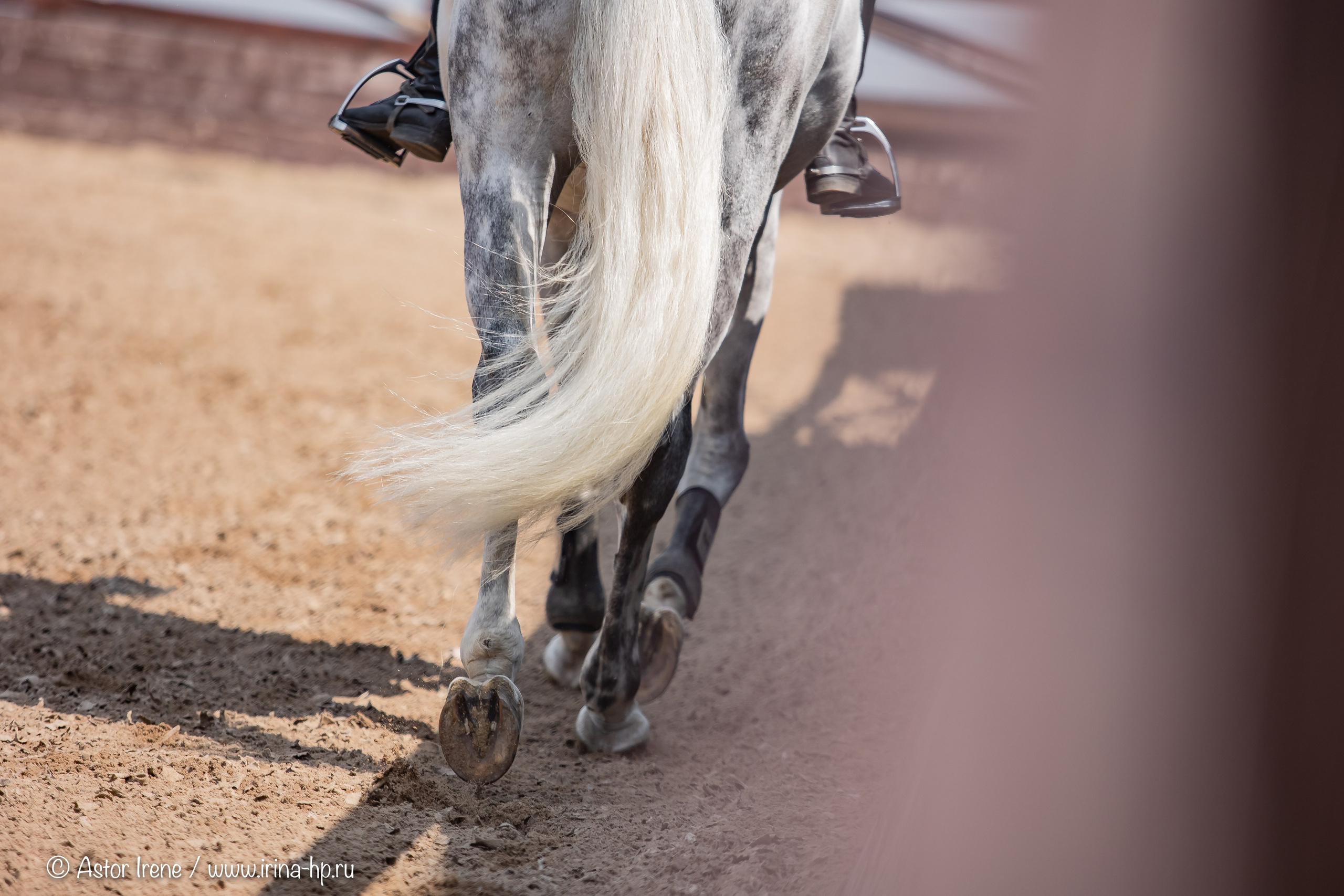 Спортивные мероприятия. Фотограф Ирина Астор