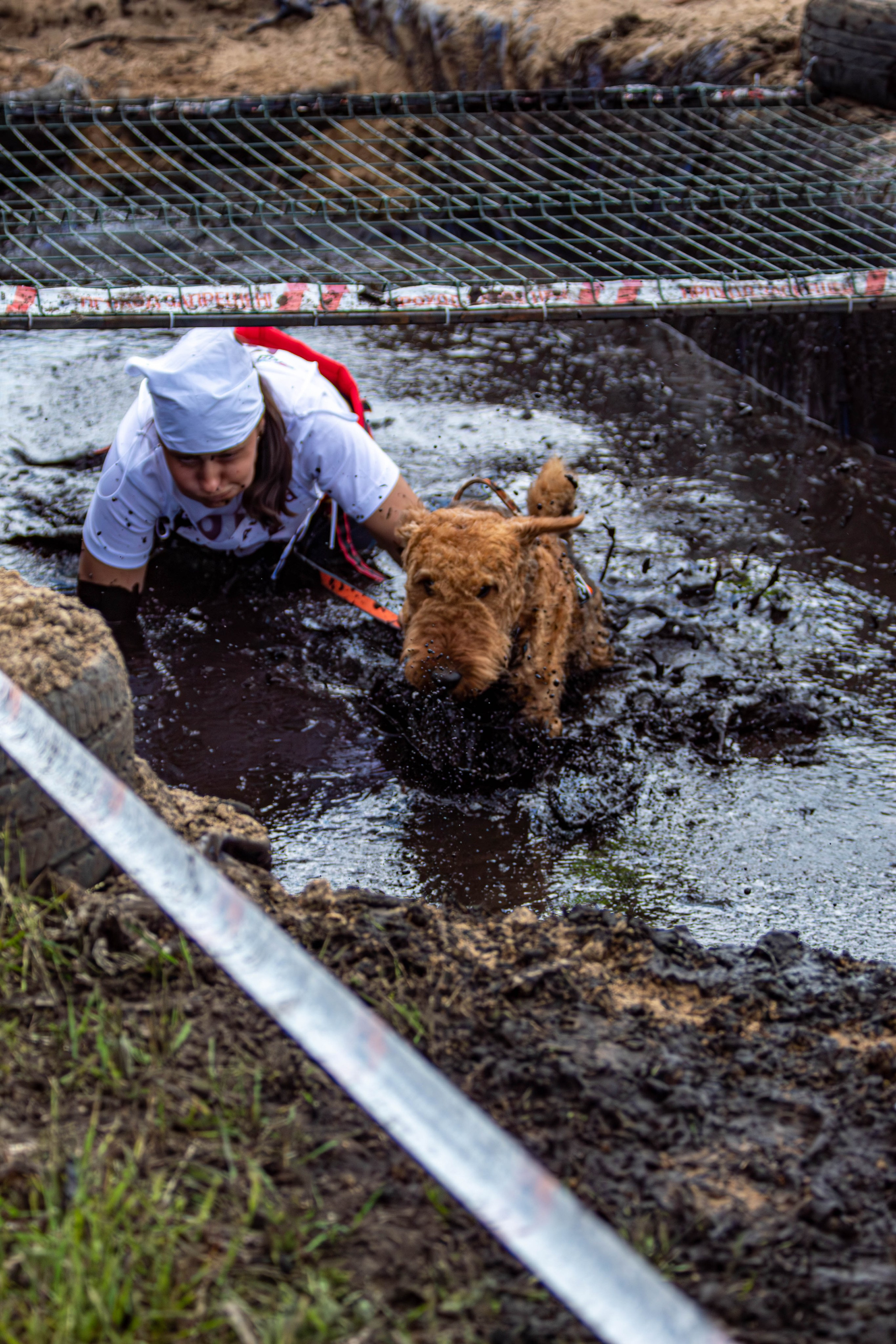 Хвостатый Драйв 2024. Фотограф анималист — Тула, Москва