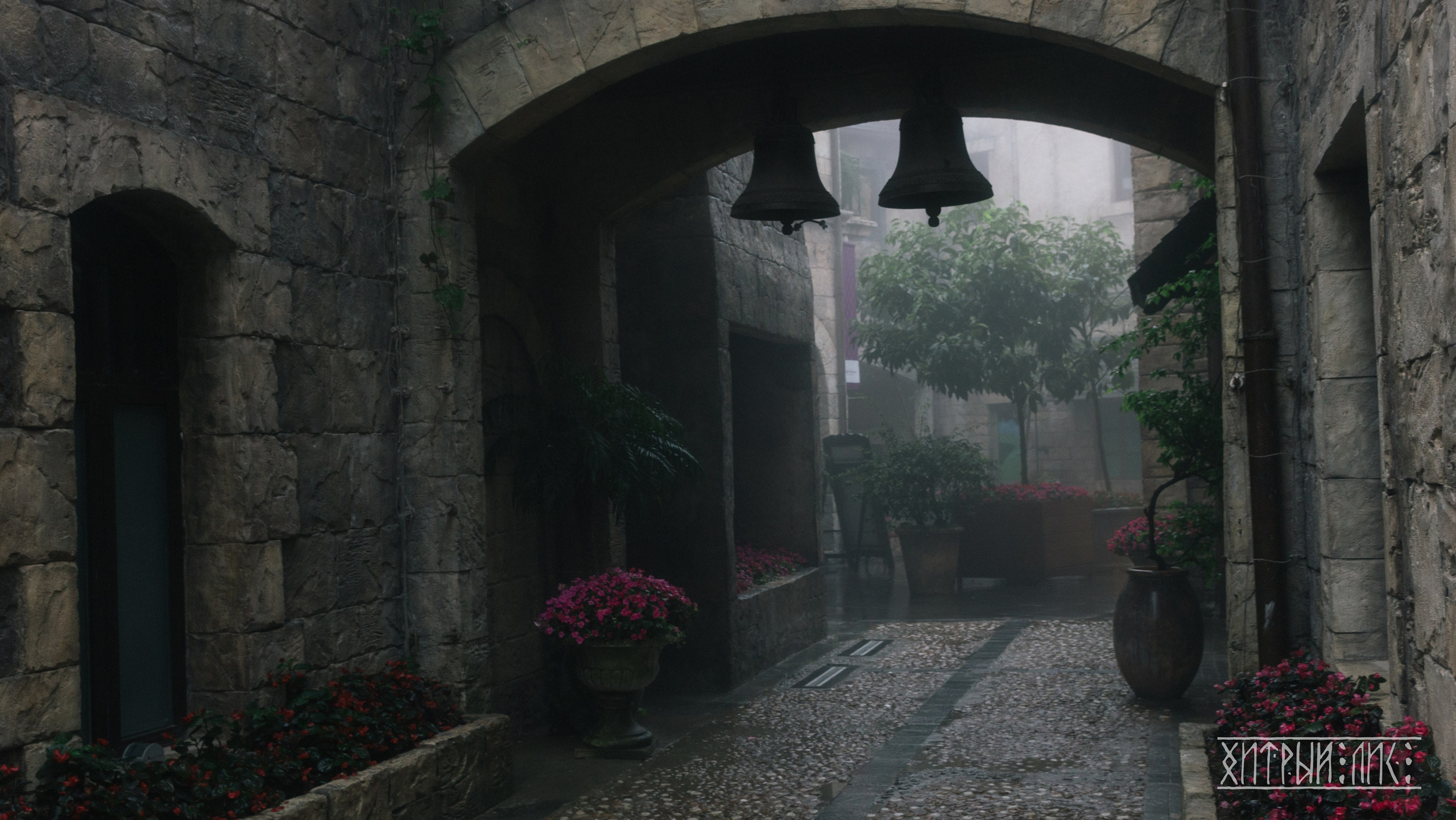 Вьетнам. Фотограф-путешественник Самойлов Максим «Sly Fox»