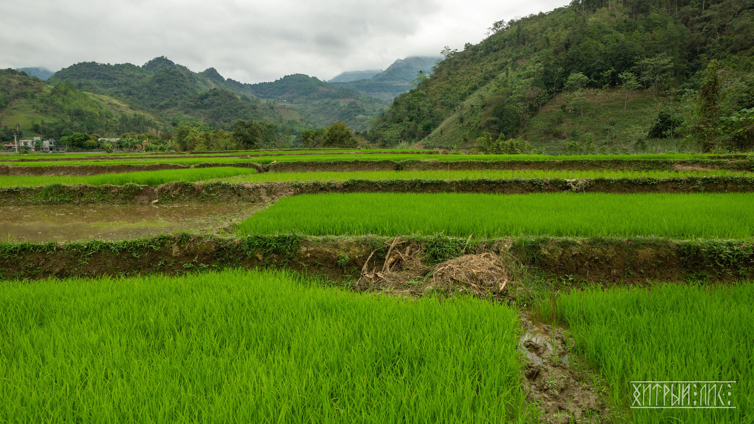 Вьетнам. Фотограф-путешественник Самойлов Максим «Sly Fox»