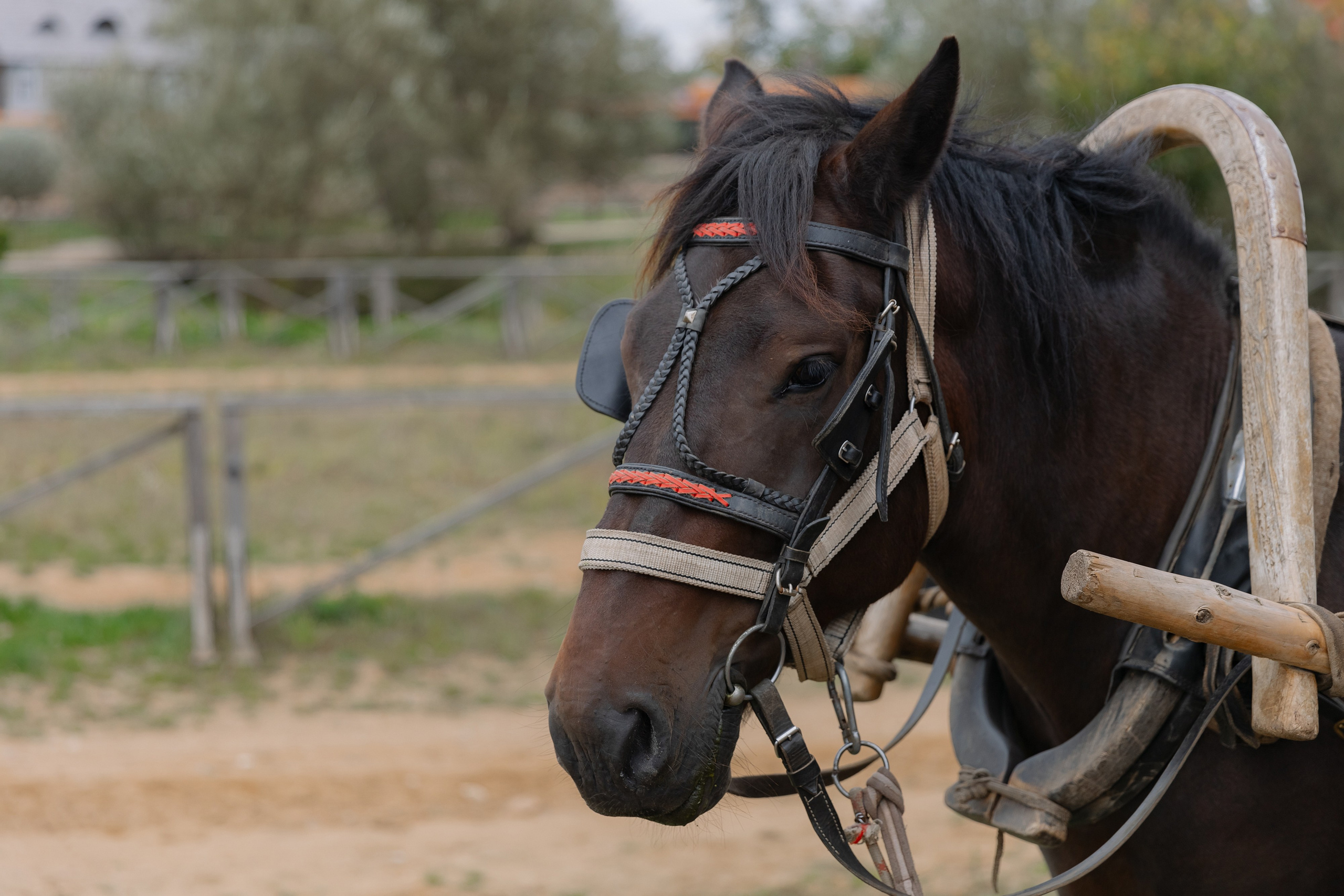 Корпоративная фотосъемка для ОАО Белагропромбанк в Суле в Загородном комплексе Westa. Свадебный фотограф в Минске/Беларуси Сергей Спиридонов