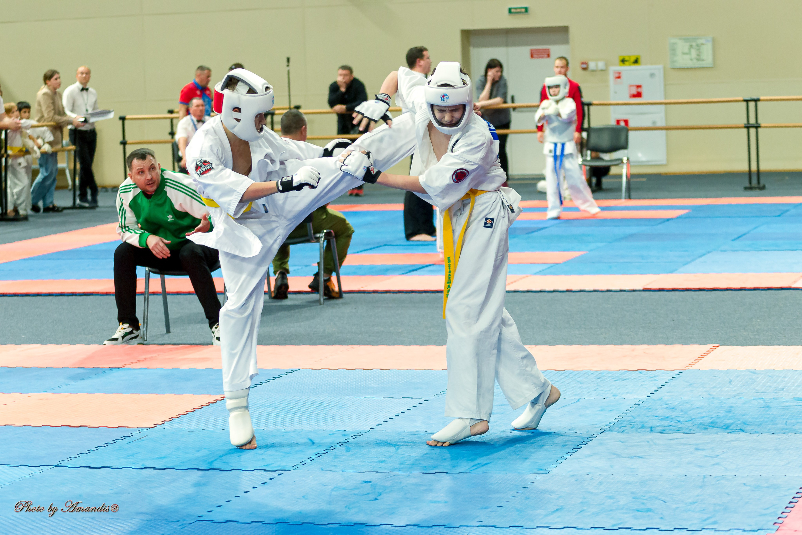 Первенство Московской области по Киокушин в СК «Жаворонки». Репортажная съемка в Москве и области. Анималистика