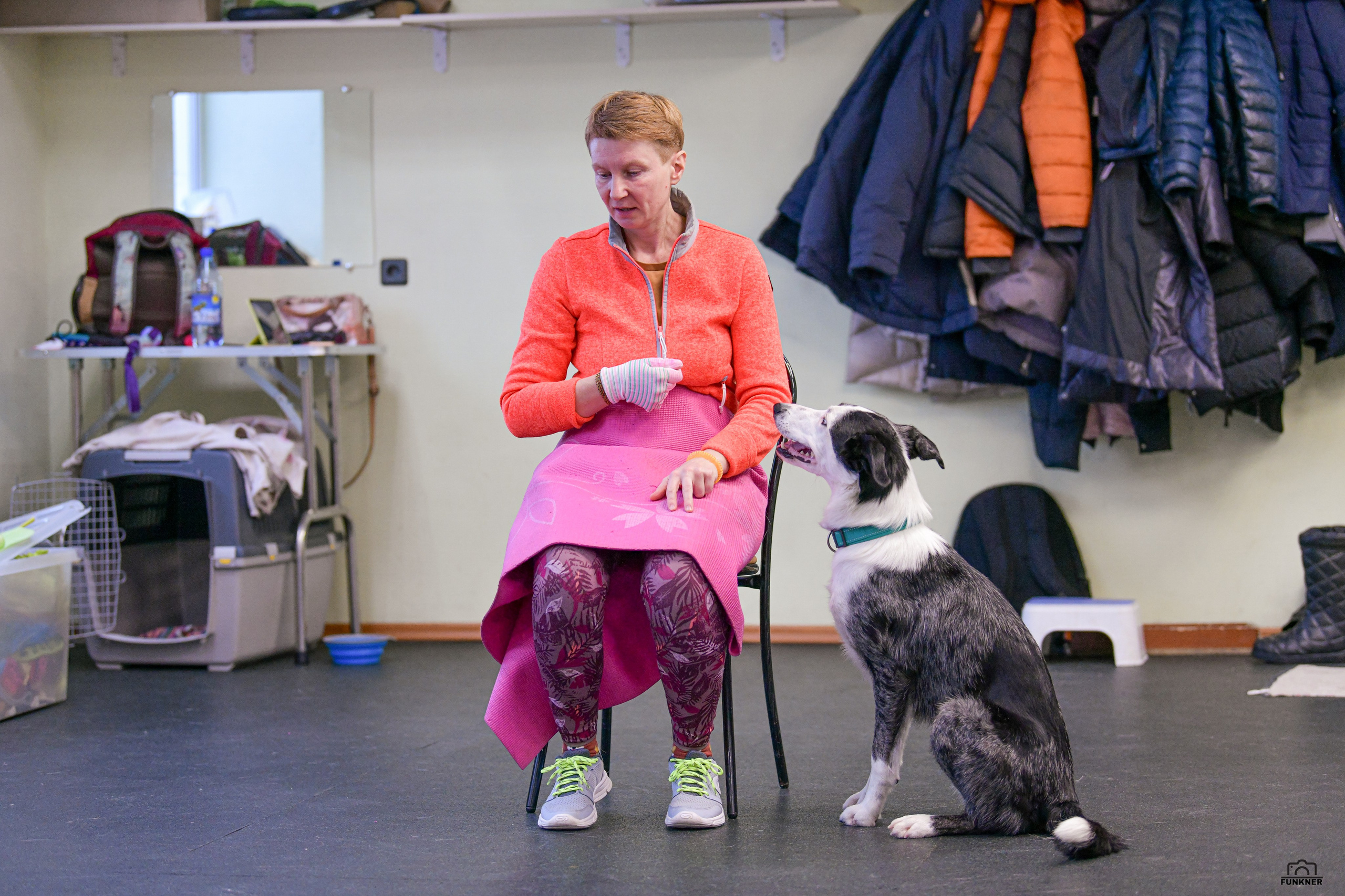 Кинологический клуб «Бодрый хвост». Свой взгляд через объектив