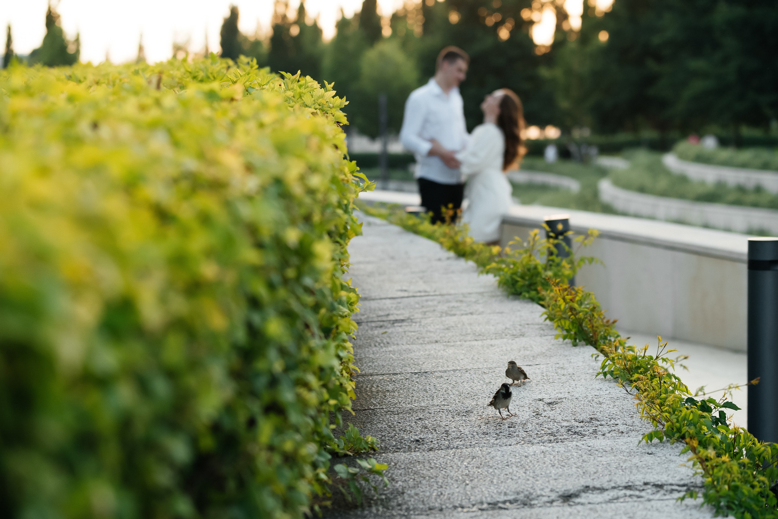 Лада & Максим lovestory. Фотограф в Краснодарском крае Александр Шульга
