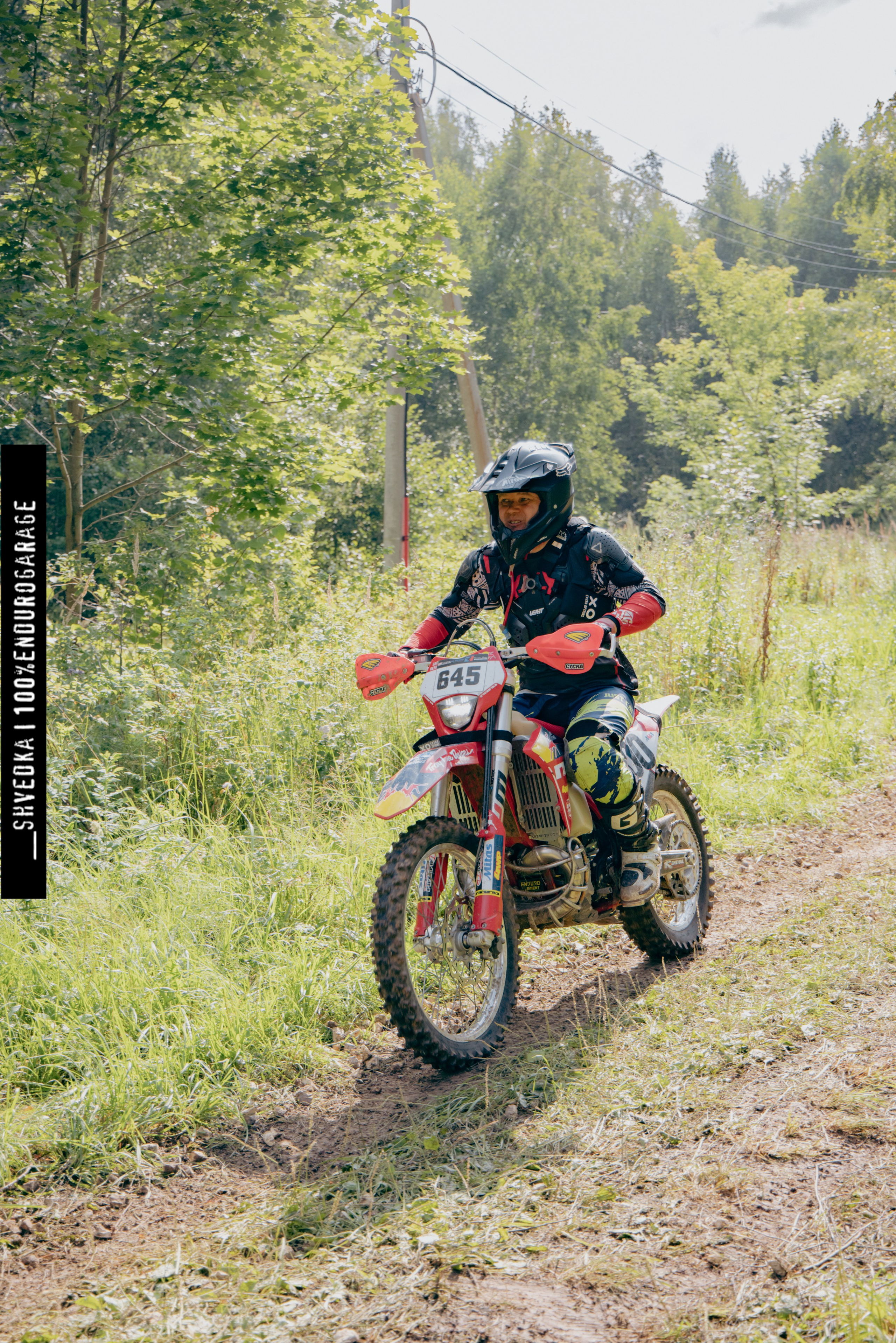 ВТОРОЙ ЛЕСНОЙ ДЕНЬ. Ваш экстрим фотограф Кудрева Яна