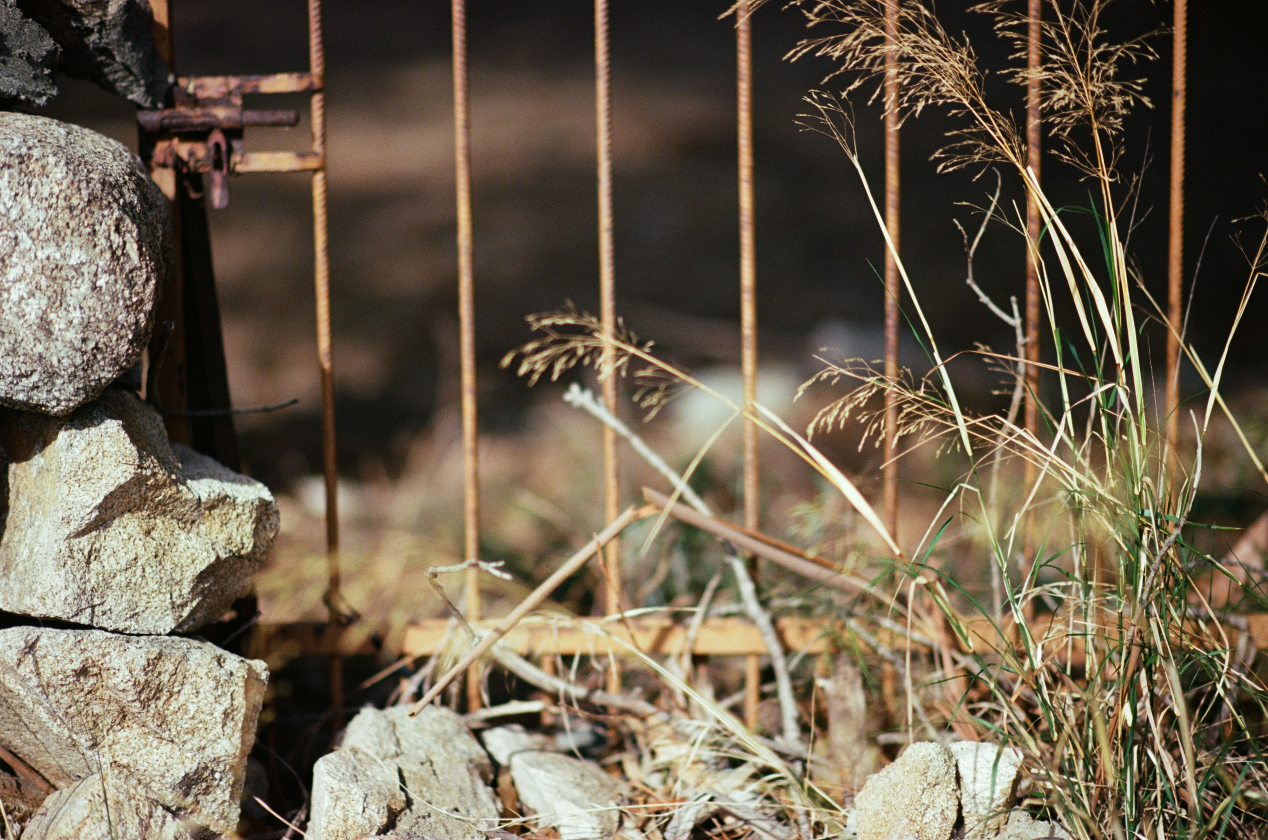 Silence is also an answer // corsica. EVER EXPOSED