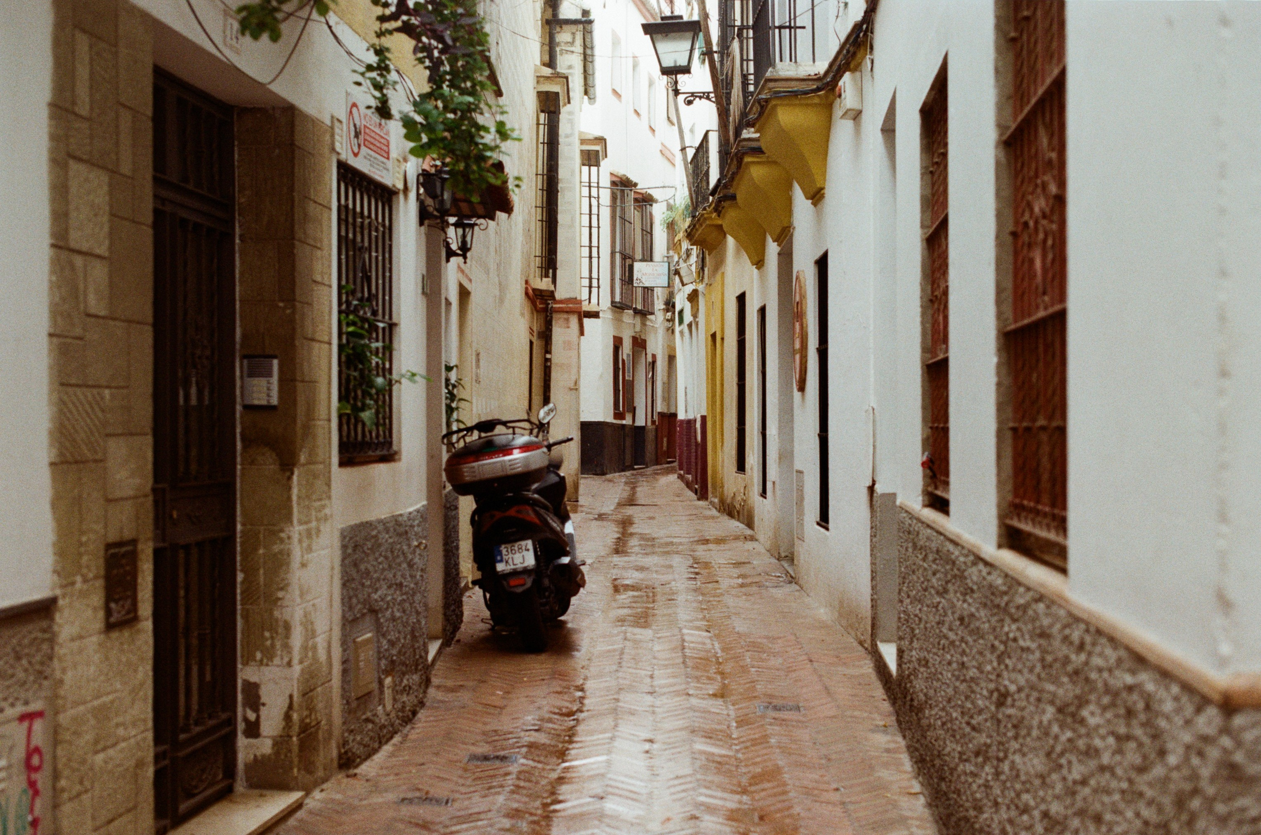 Spanish sahara // spain, seville. EVER EXPOSED