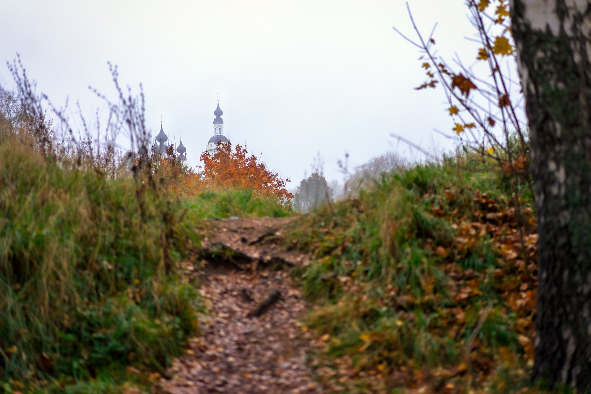 Город Плёс. Семейный и детский фотограф
