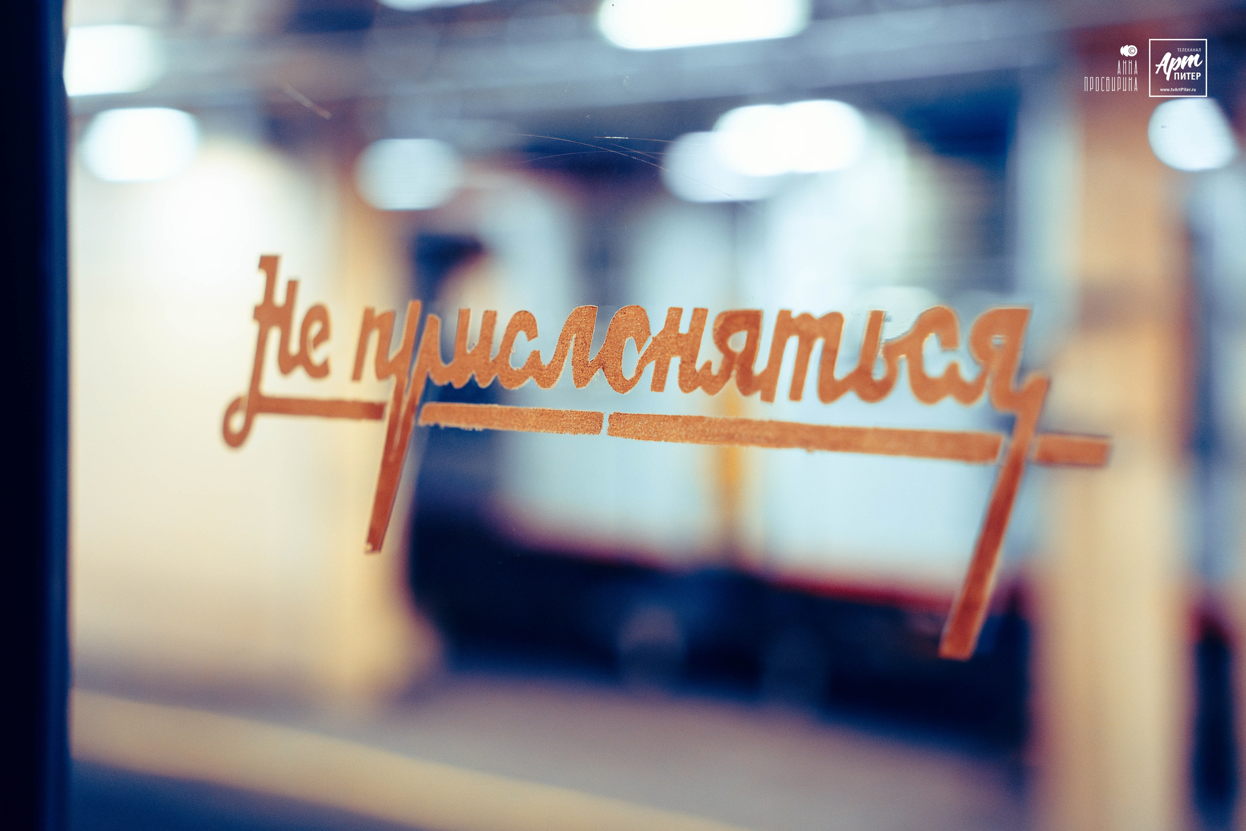 Ноябрьская сборная солянка. Ваш фотограф в Санкт-Петербурге Анна Просвирина