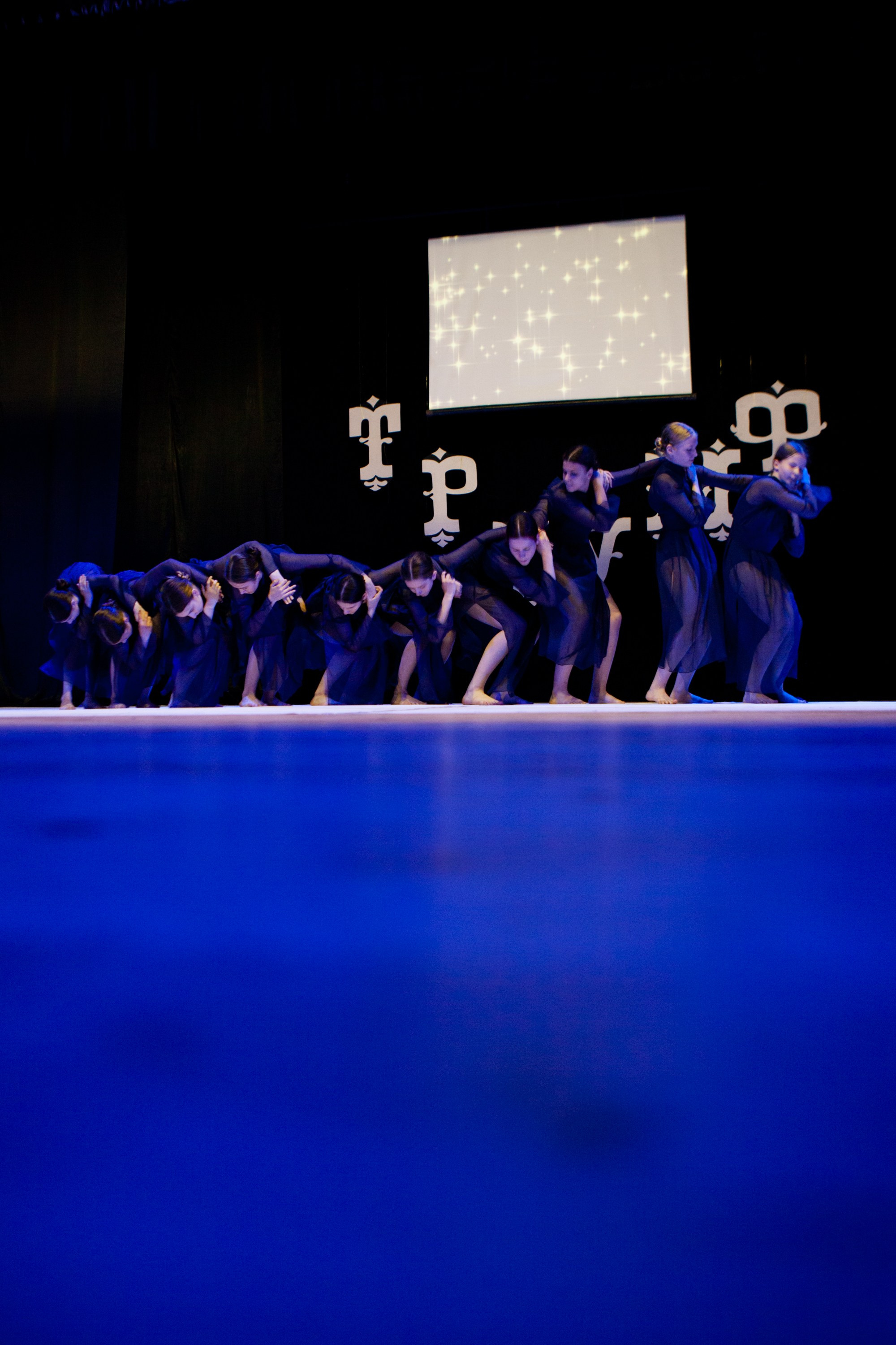 Концерты. Виолетта Скрипка