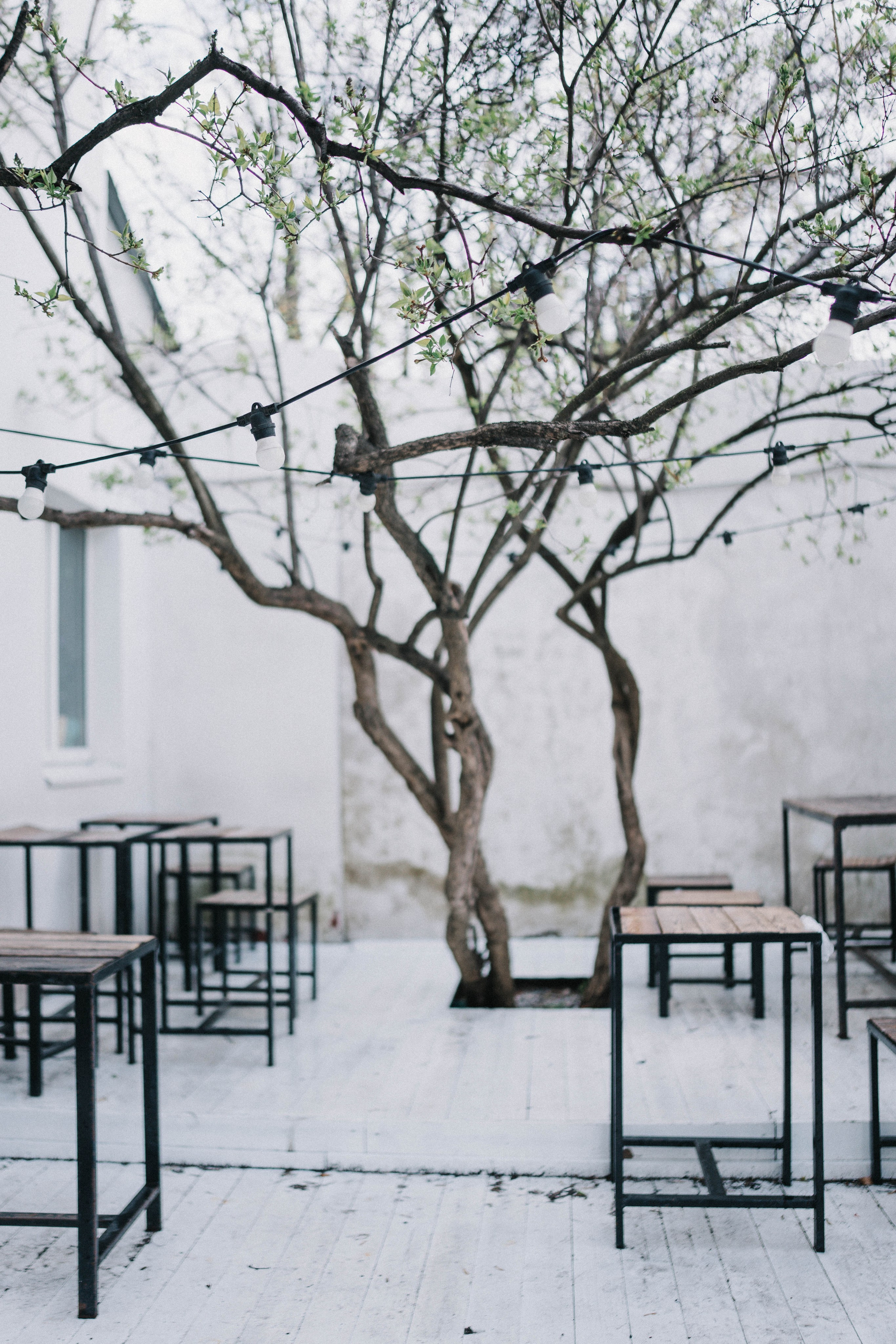 Сквер. Фотограф Москва Татьяна Гайдаржи