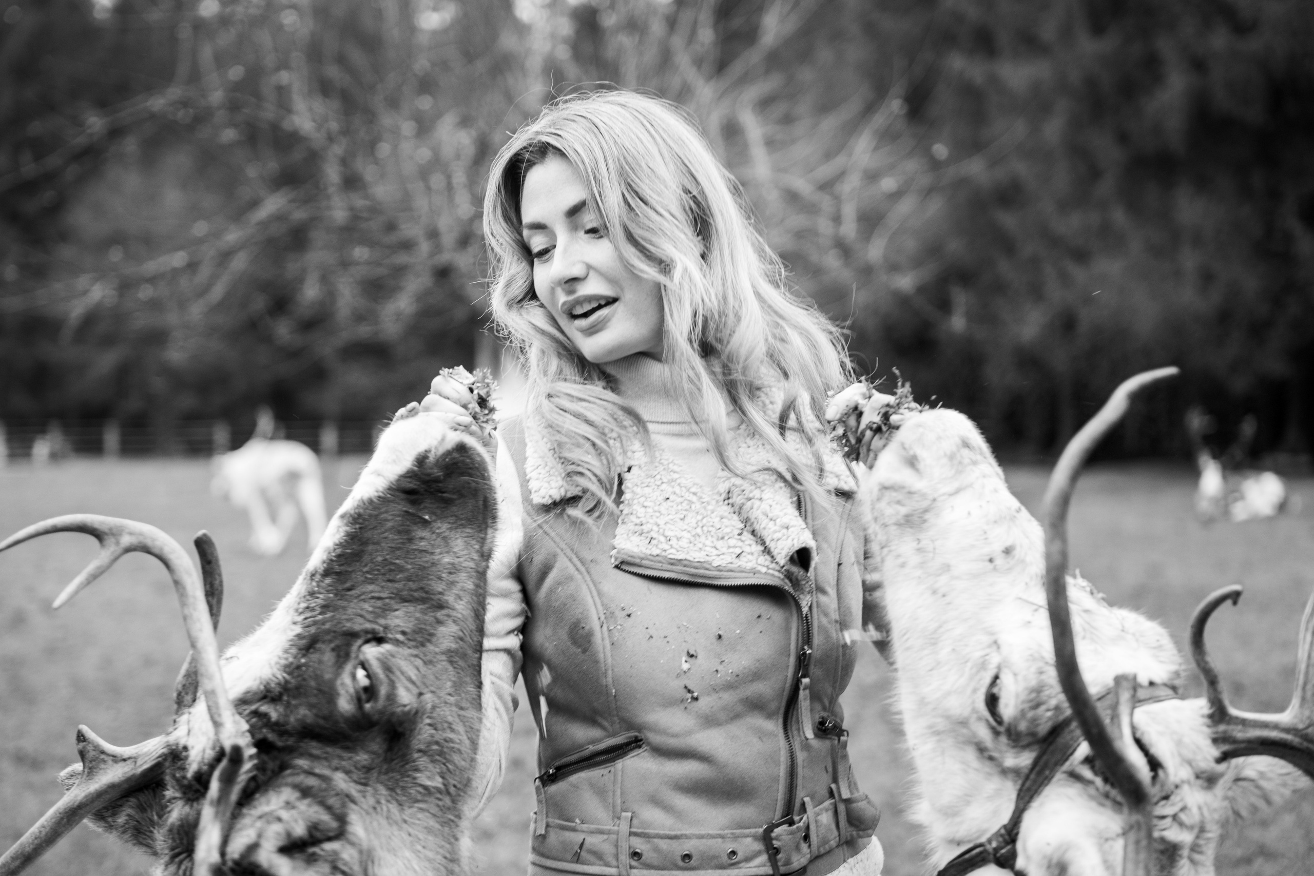 Экспресс с оленями. Свадебный и семейный фотограф Анастасия Багрец