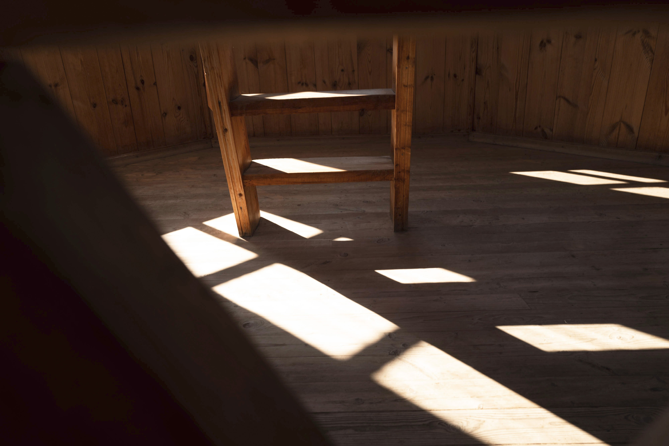 Мир тропы. Tatiana Mishchenko