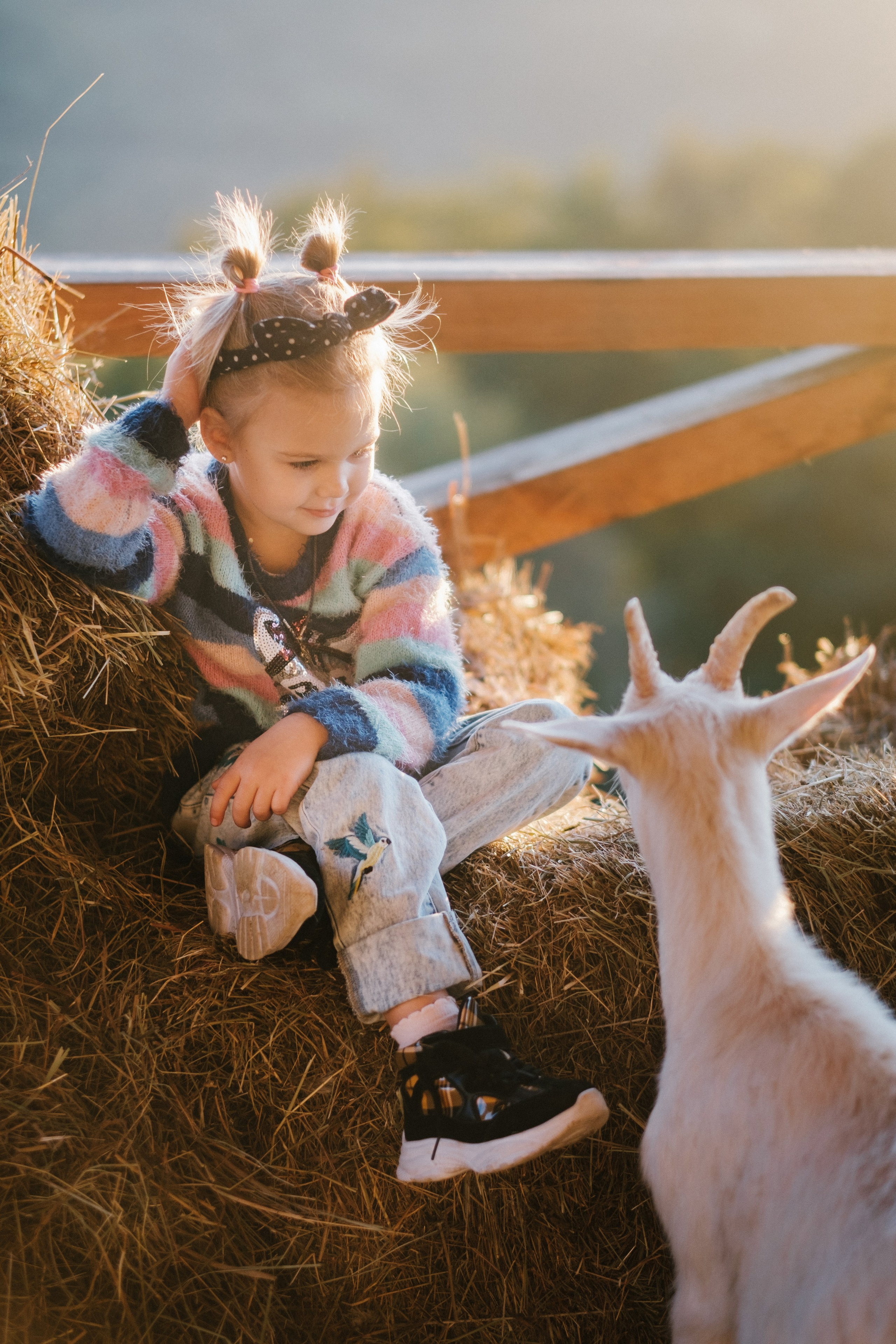 Экзархо. Свадебный Видеограф Фотограф в Сочи