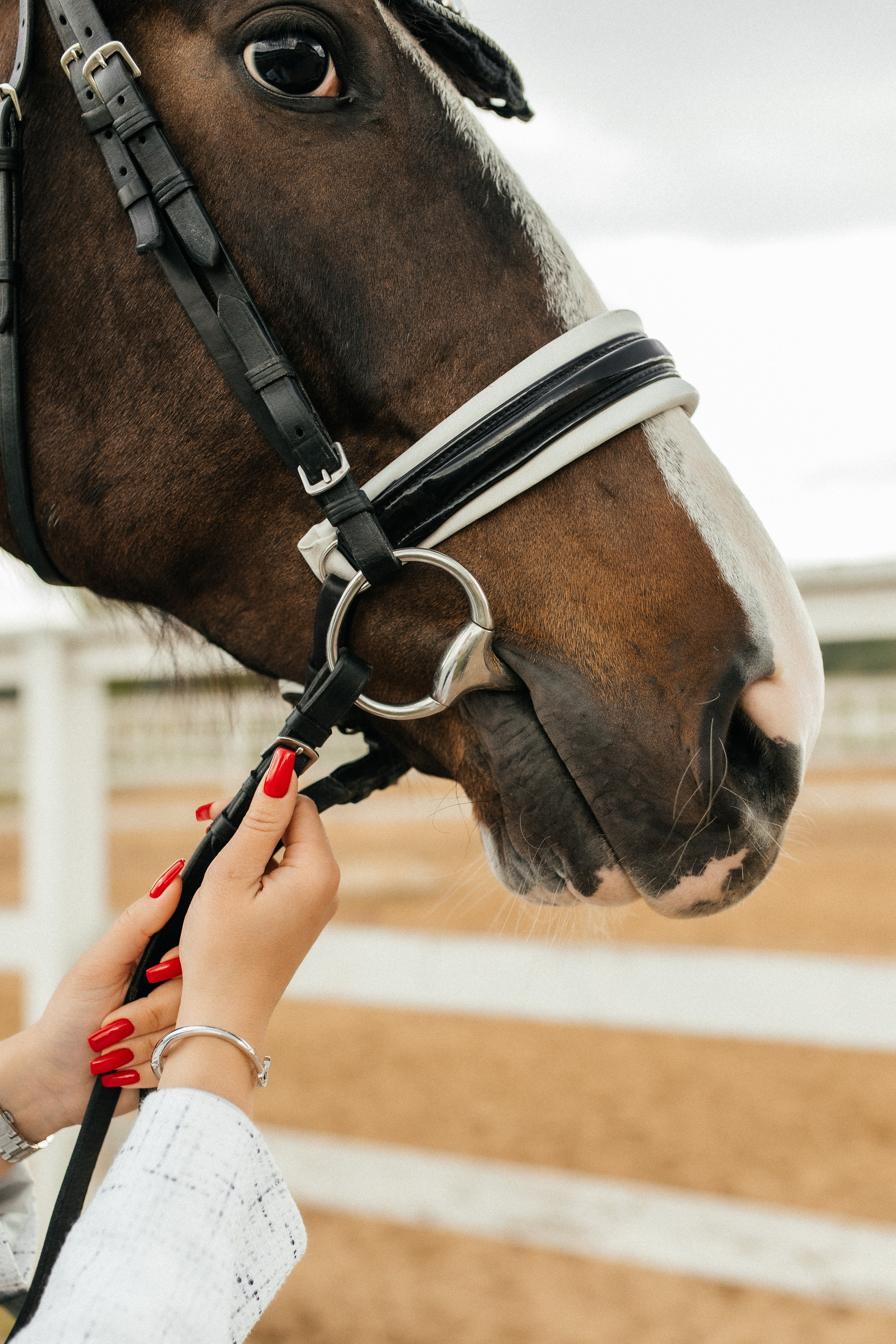 Конная прогулка. Тома и Кеша. Профессиональный фотограф, Москва |Видное Елена Елизарова