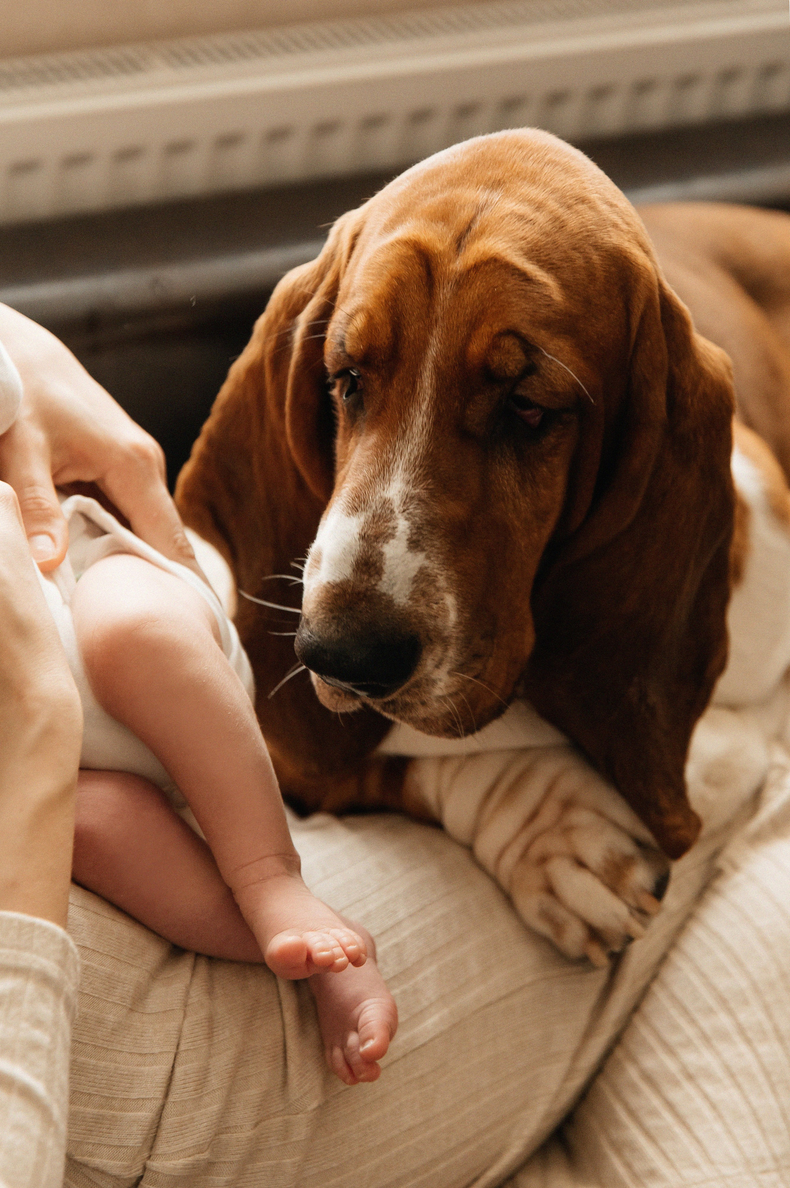 HOME. Мария — Свадебный фотограф
