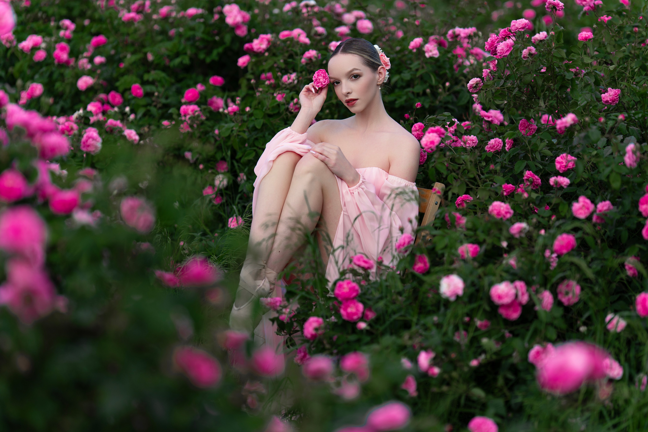 Розы. Фотограф в Крыму Лебедева Александра