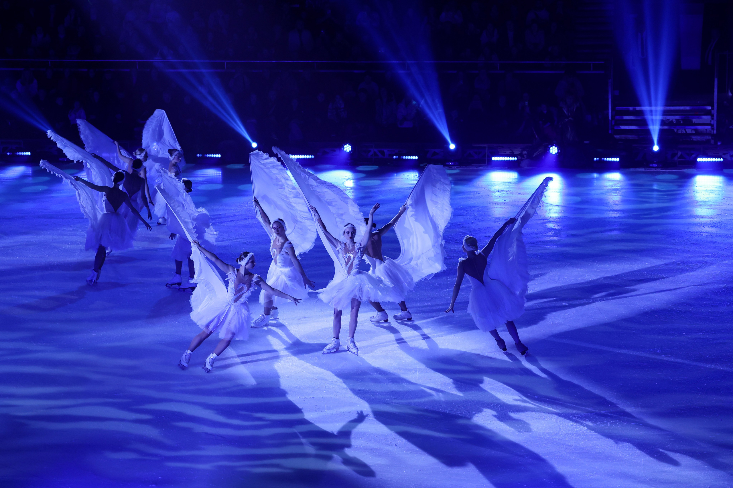 «Лебединое озеро» 26 декабря 2024. Спортивный и репортажный фотограф Антон Тереханов