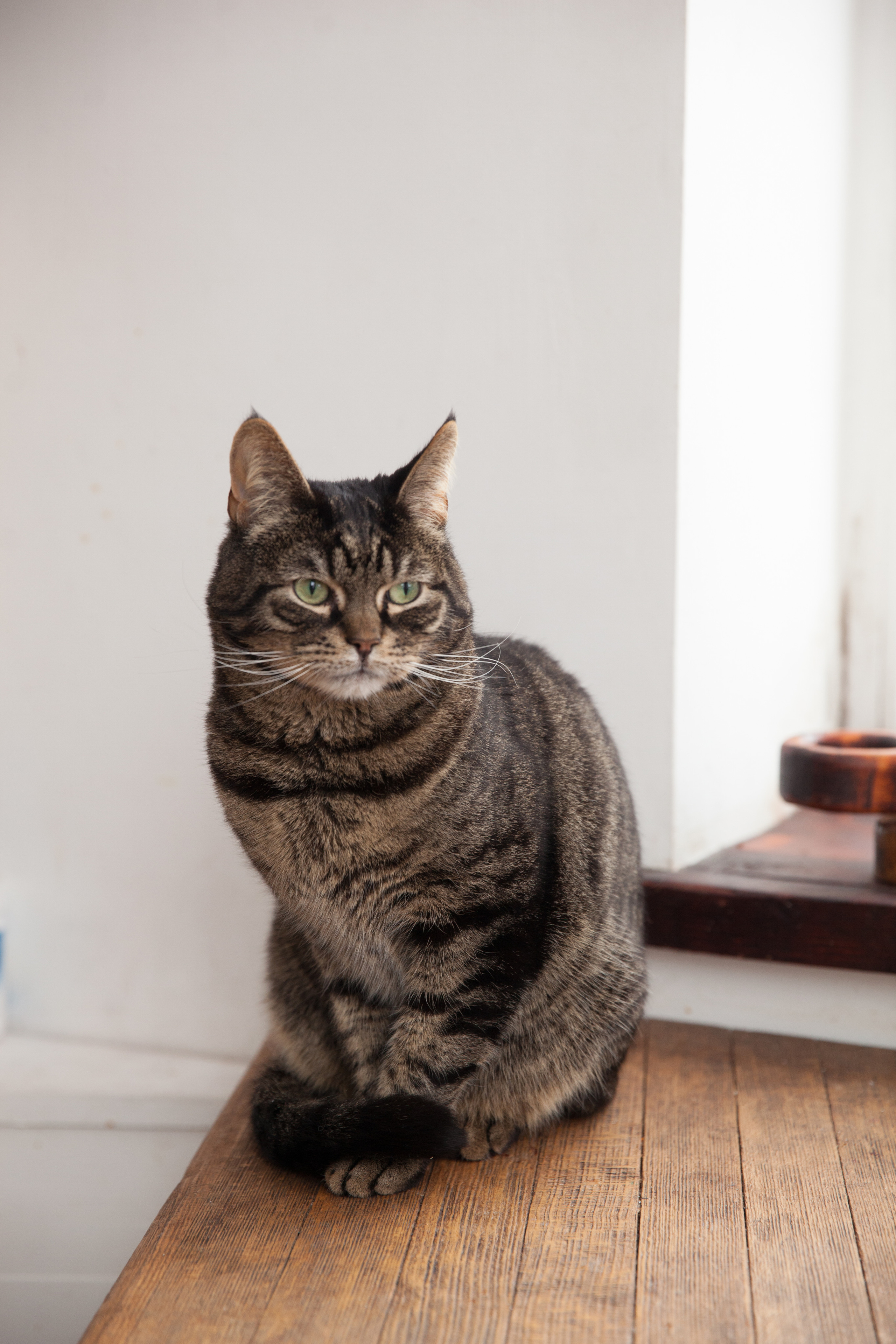 Настя и Коля. Фотограф Луиза Юдилевич Москва