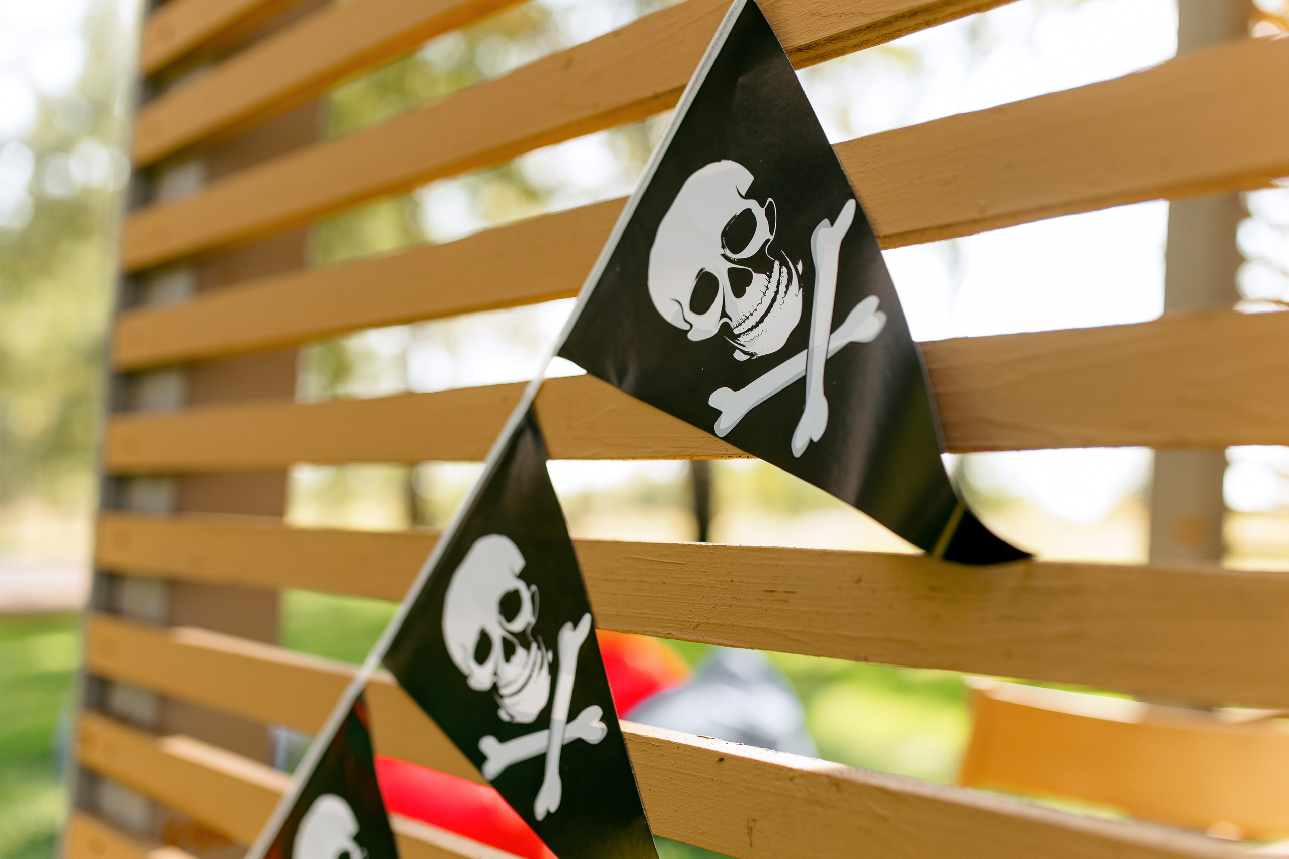 Пиратская вечеринка. Свадебный и семейный фотограф в Туле и области Маша Костина