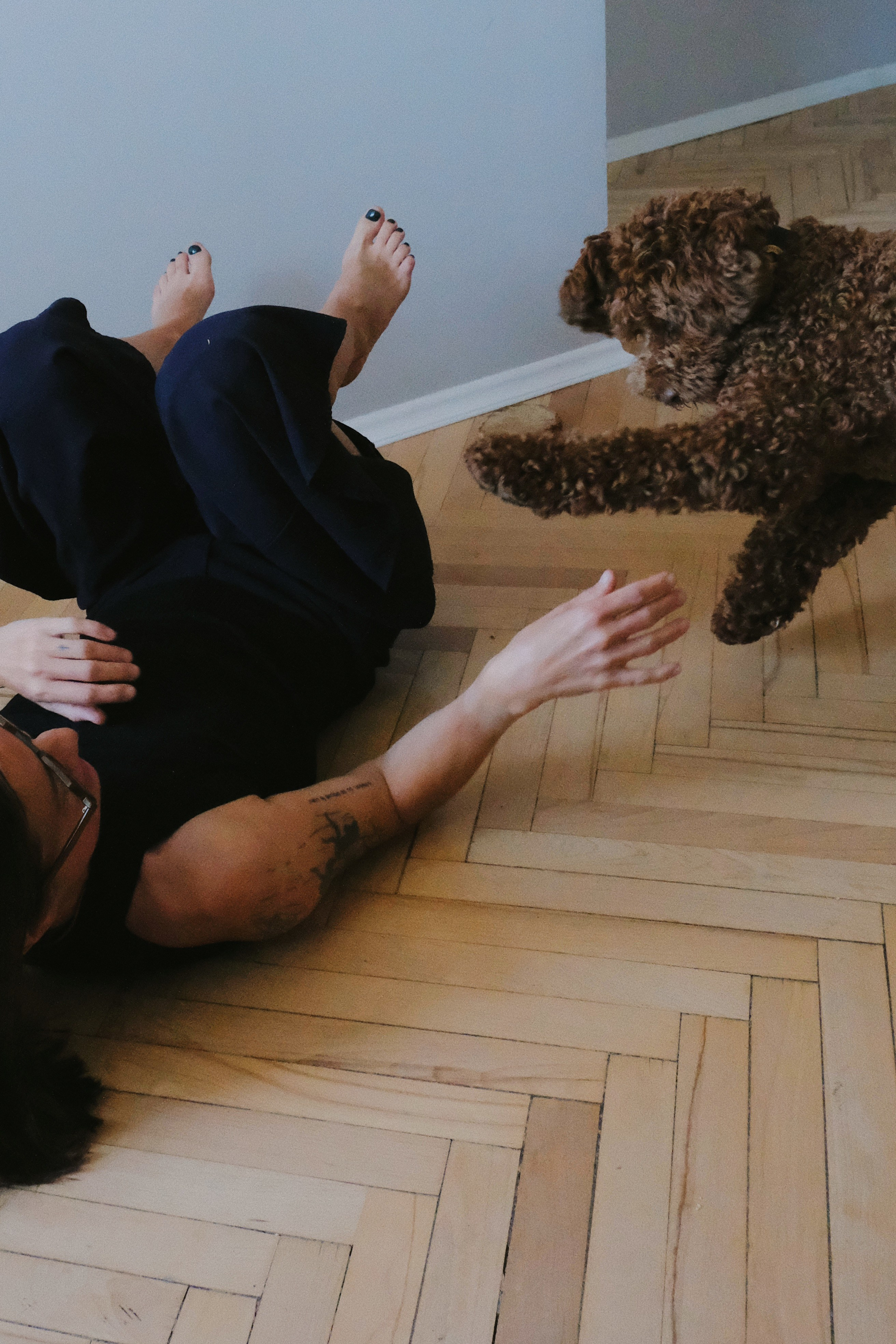 Питомцы. Татьян гертье