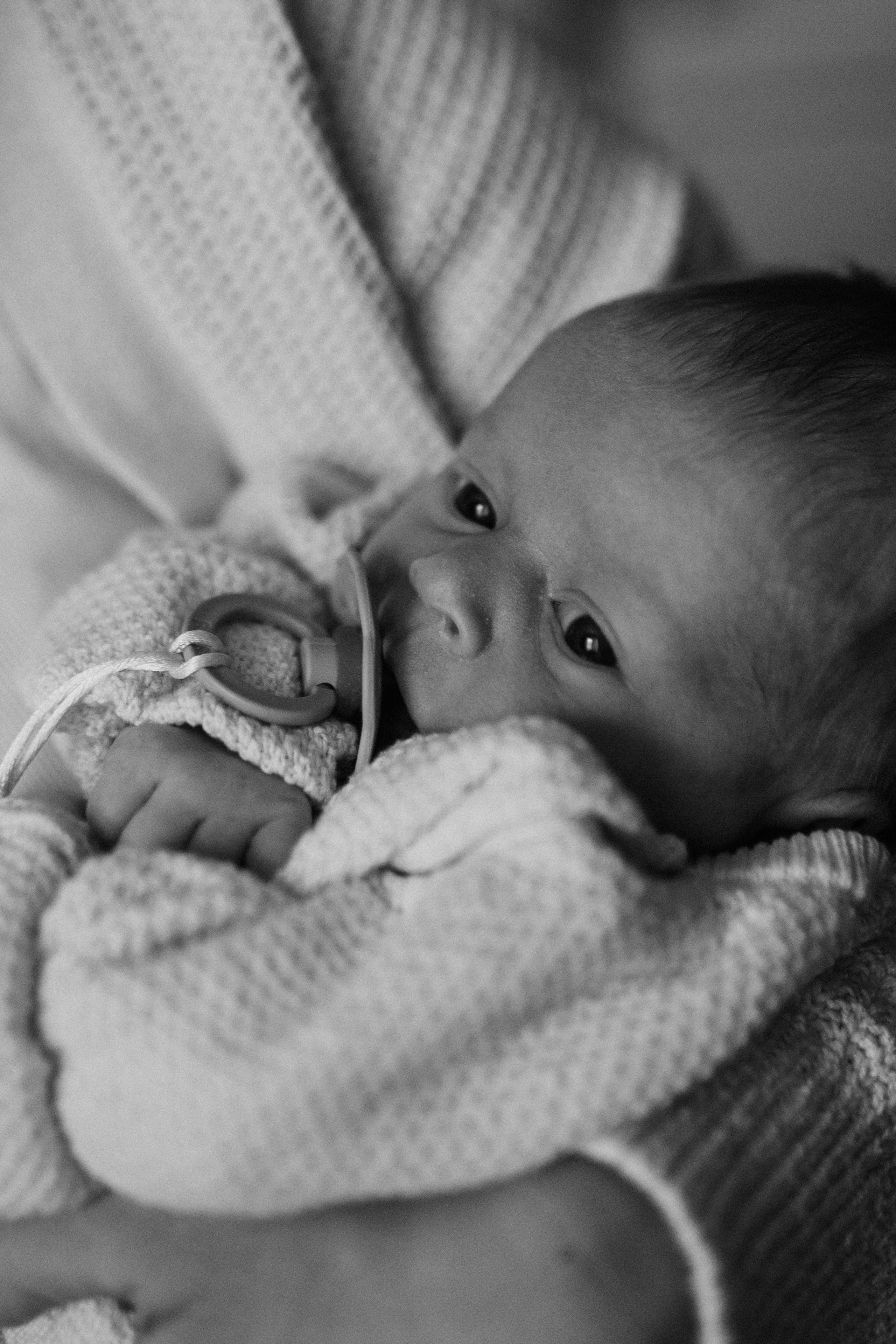 Лена, Игорь, Арина, Агата. Семейный фотограф Москва