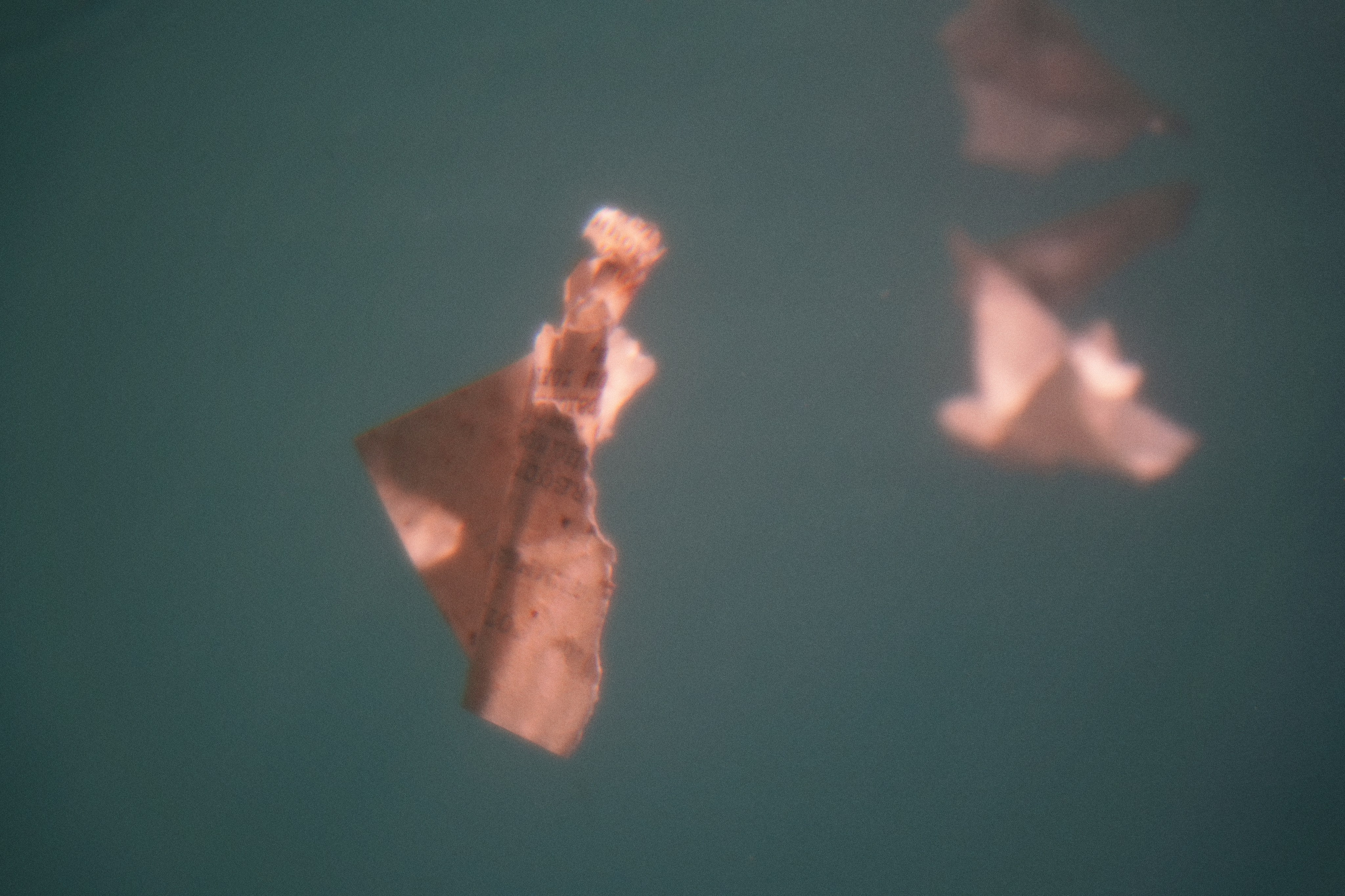 НОВОЕ СЛОВО. ANNA — PHOTOGRAPHER