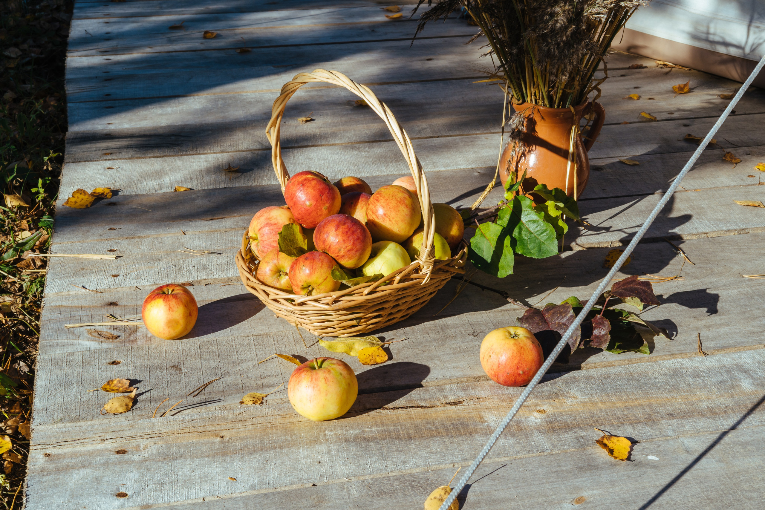 Глэмпинг «Ручьи» Пржевальское. Фотограф на Эльбрусе • Роман Шатхин