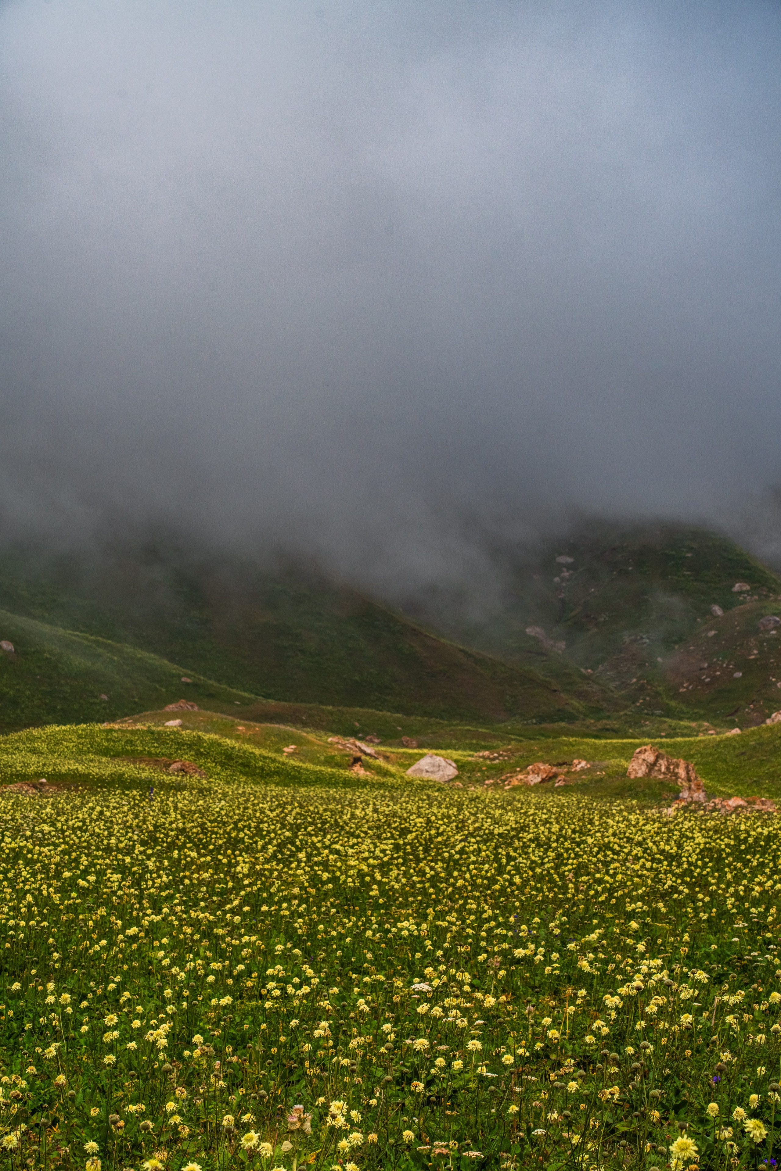 Дагестан. Фотограф в Москве. Шахабудин