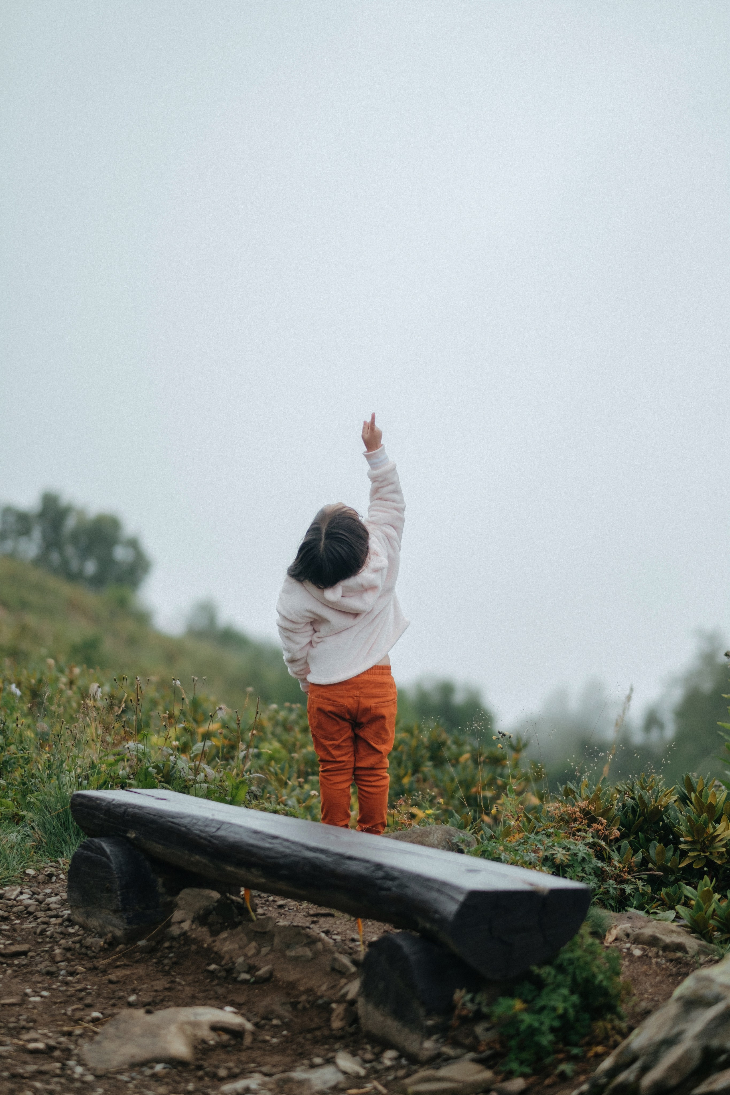 Горная карусель. Свадебный Видеограф Фотограф в Сочи