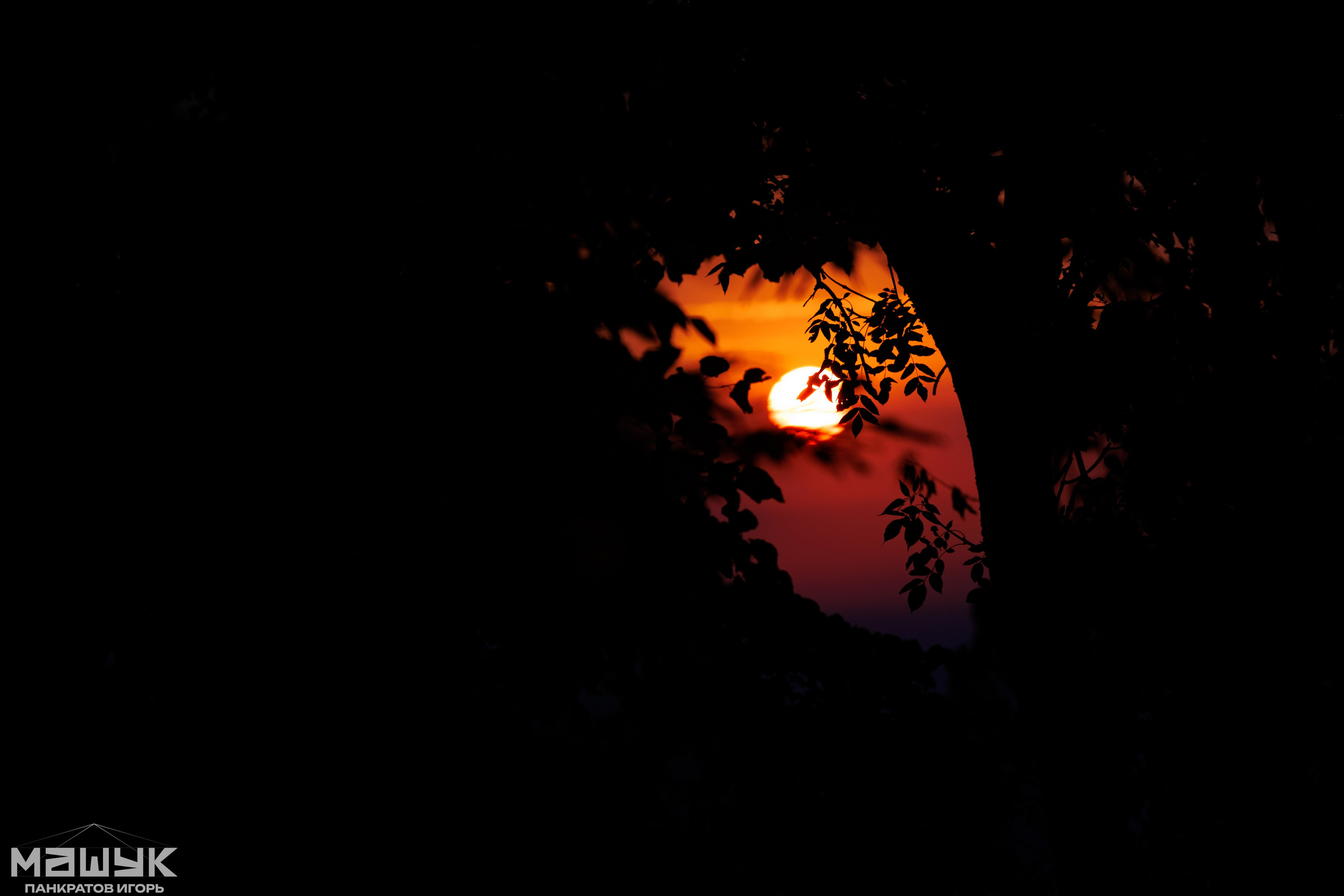 Всероссийский форум «Машук» — 2024. Игорь Панкратов | Фотограф Ставрополь