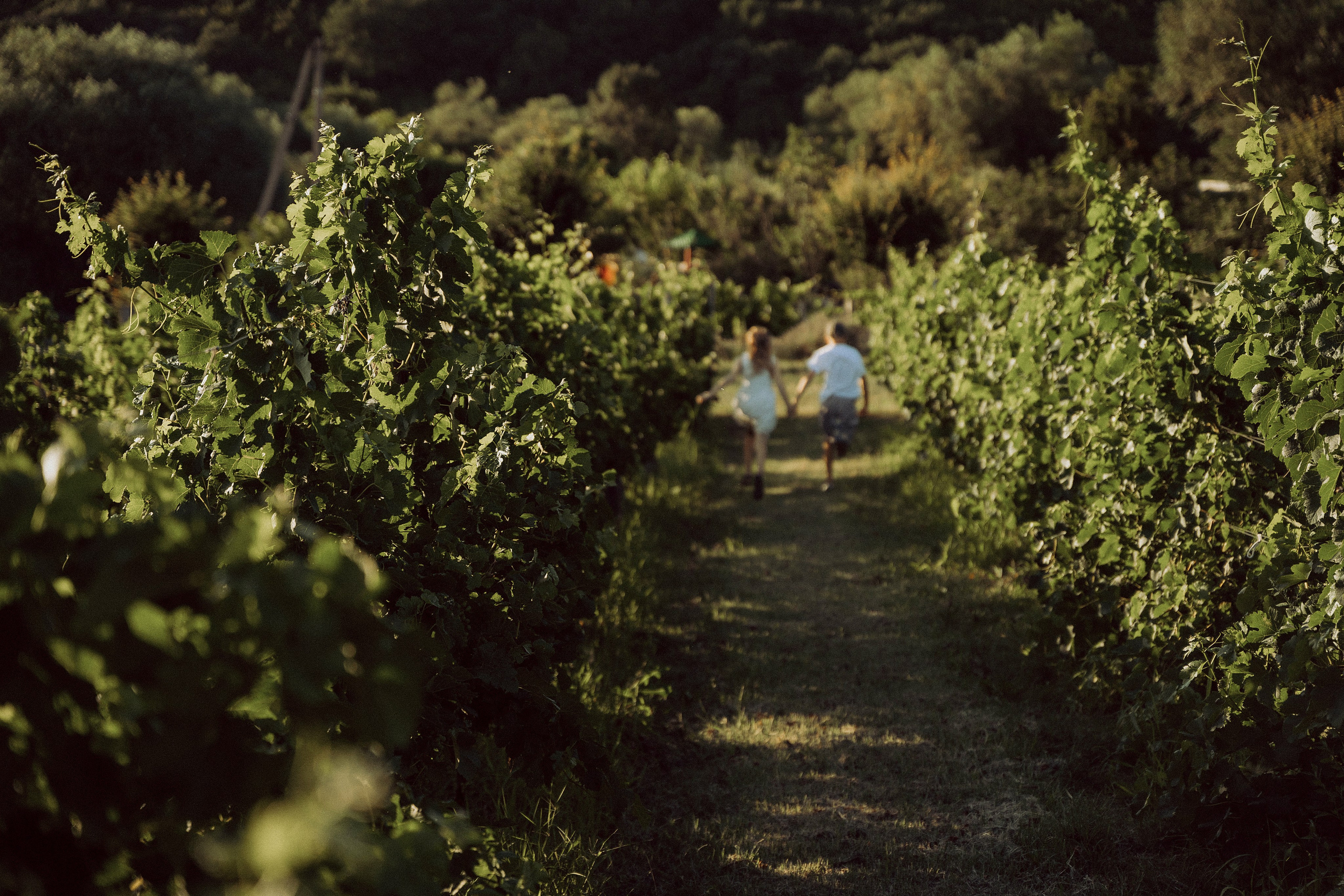 Семейная фотосессия. Татьяна Тагель