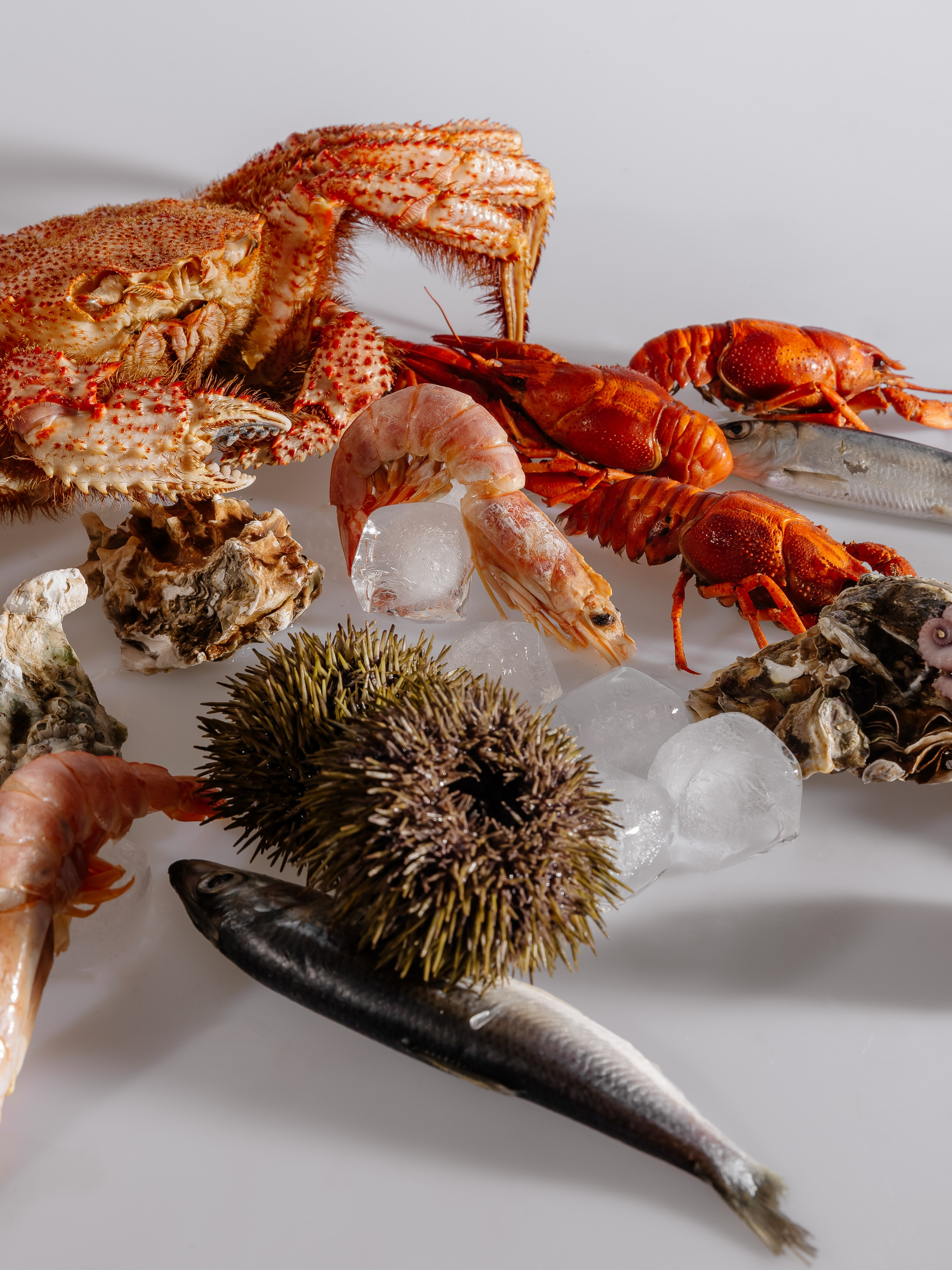 Splash.sea. Профессиональный фотограф Инесса Новикова в Москве