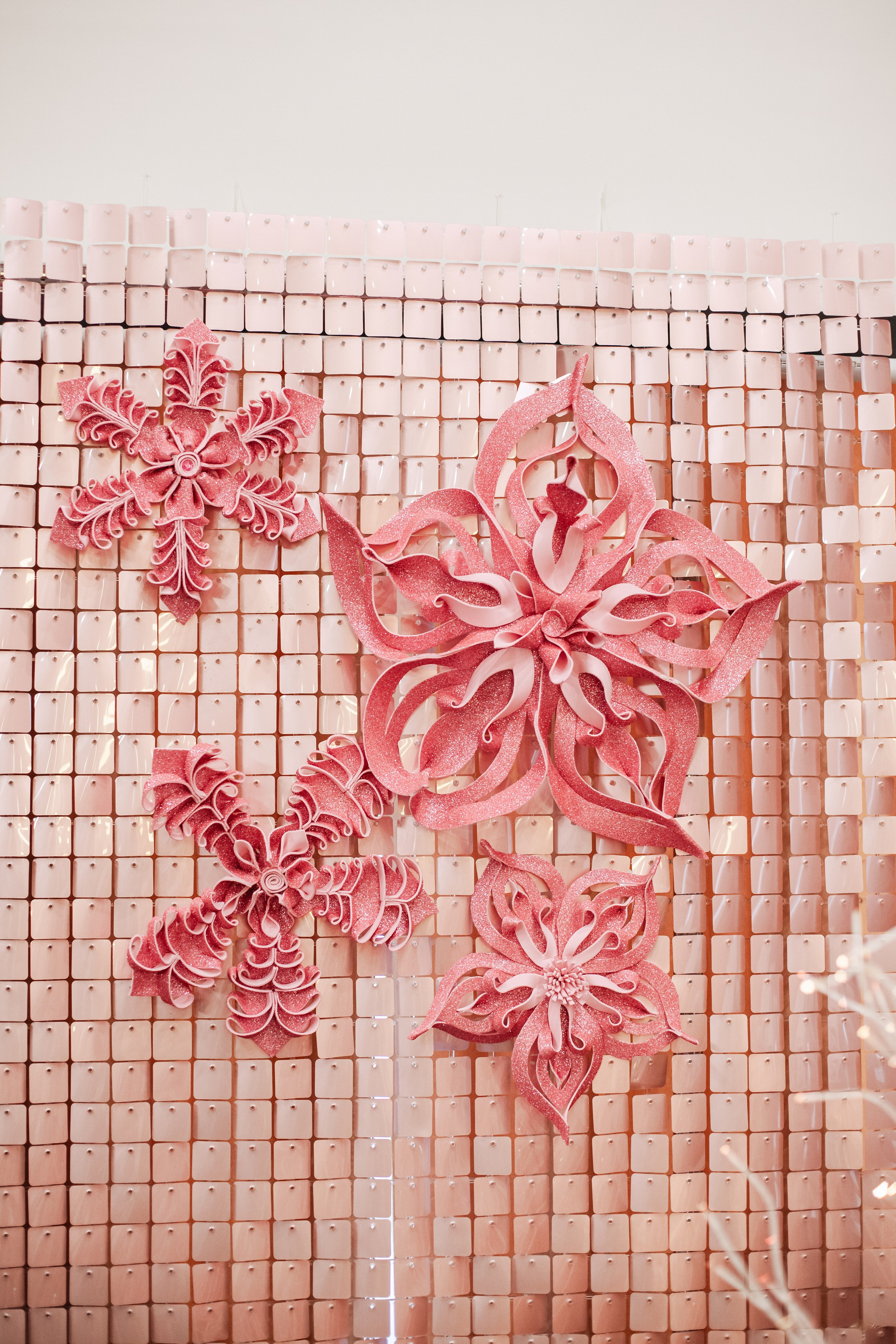 Бульёлка 2024. Фотограф-анималист Татьяна Степанова