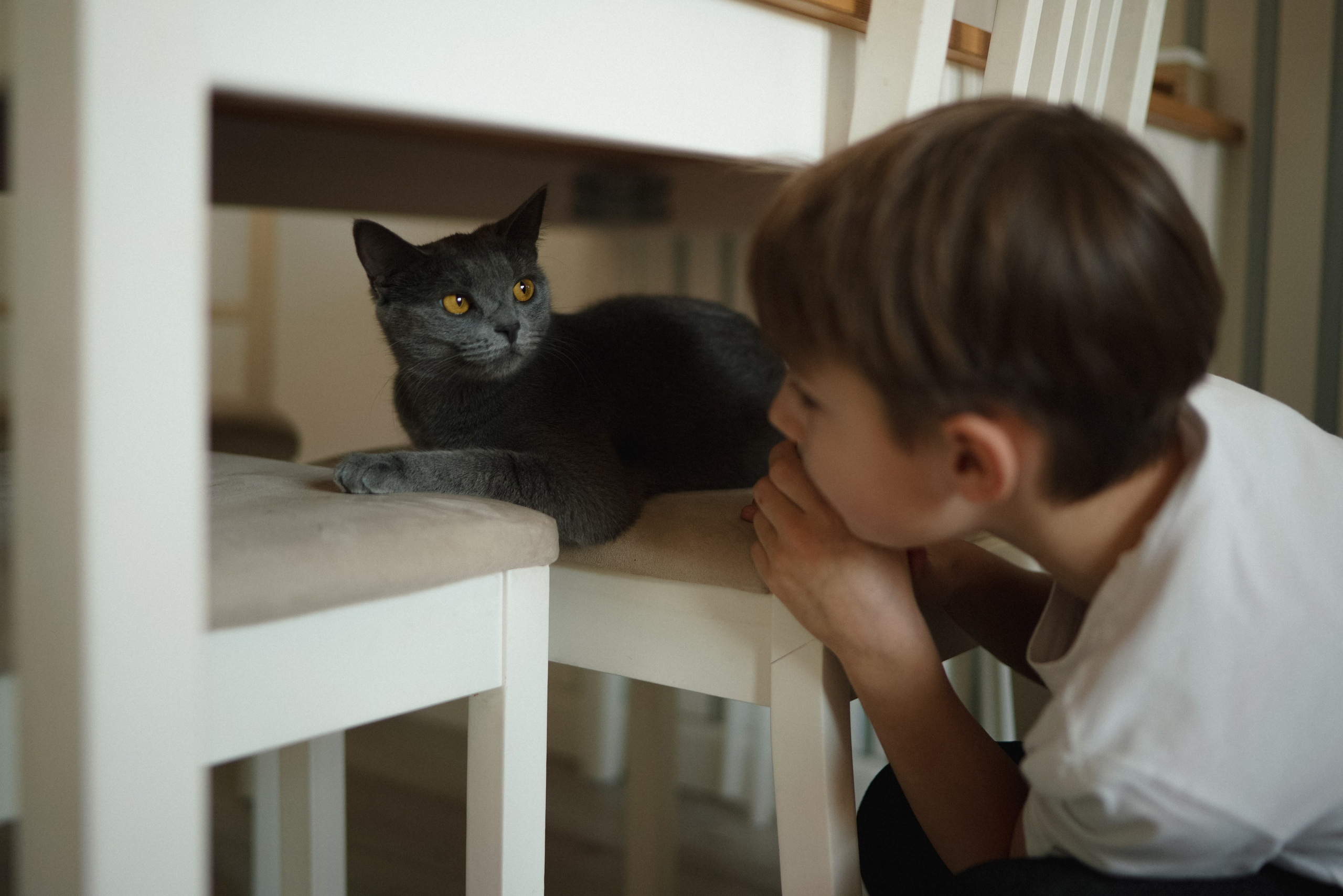 ДПС — Добрый Папа Саши. Фотограф Анна Кобазева, Москва