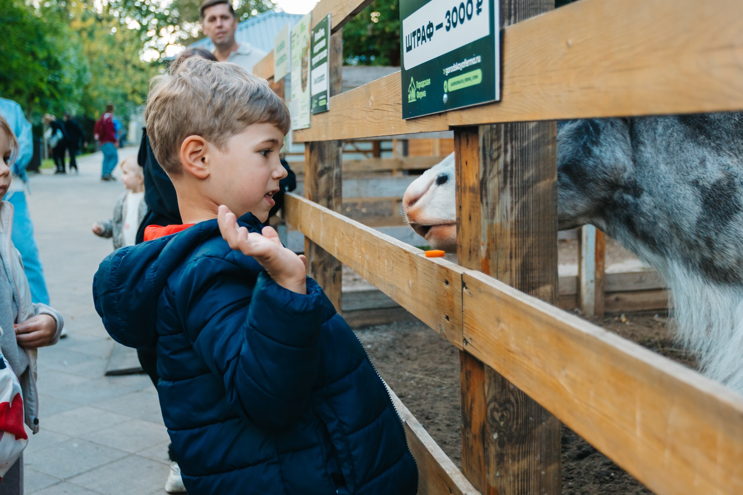 День рождения Марка. Андрей Партнов — фотогрраф, Москва