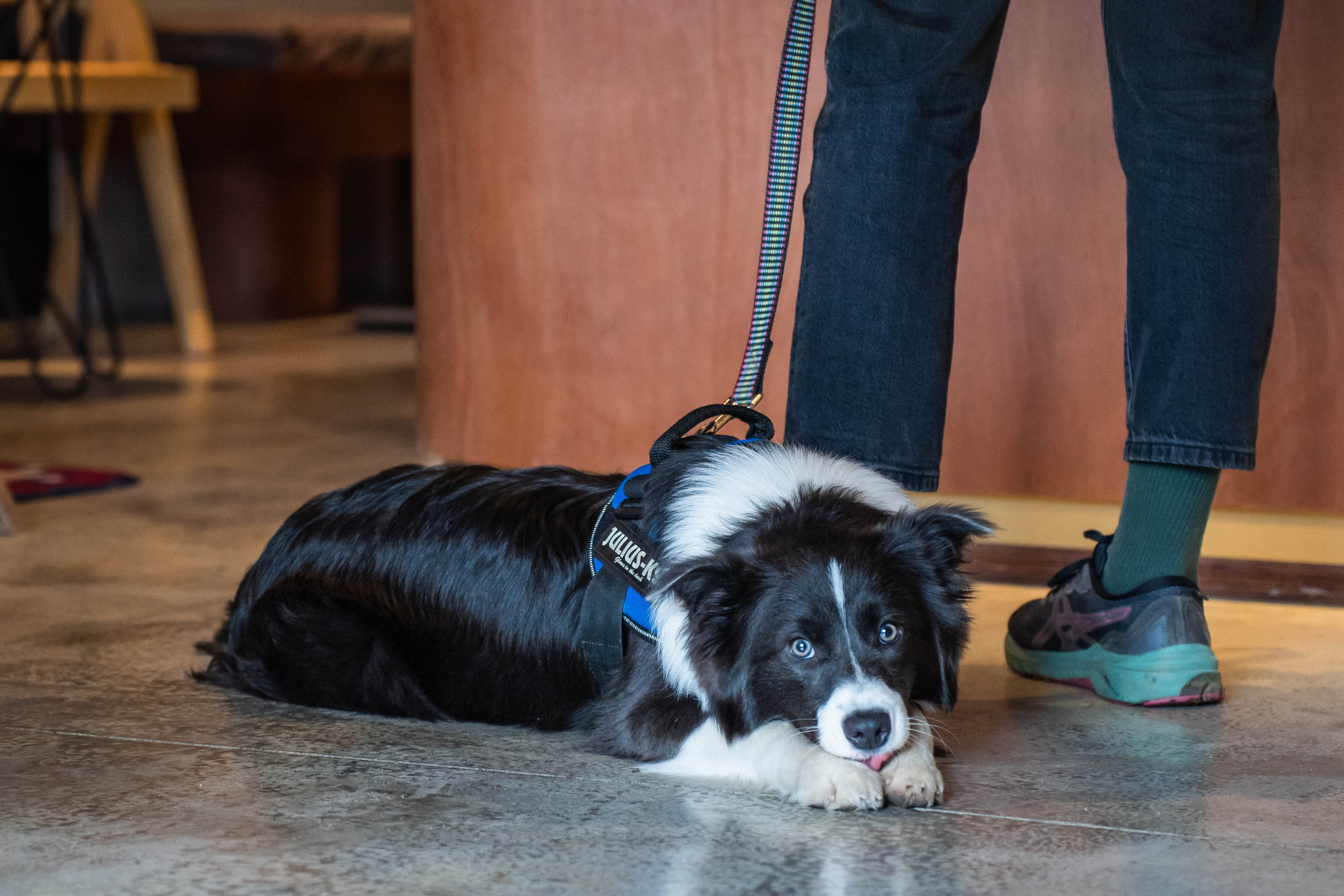 SURF COFFEE| DAY. Фотограф Абакумова Анастасия