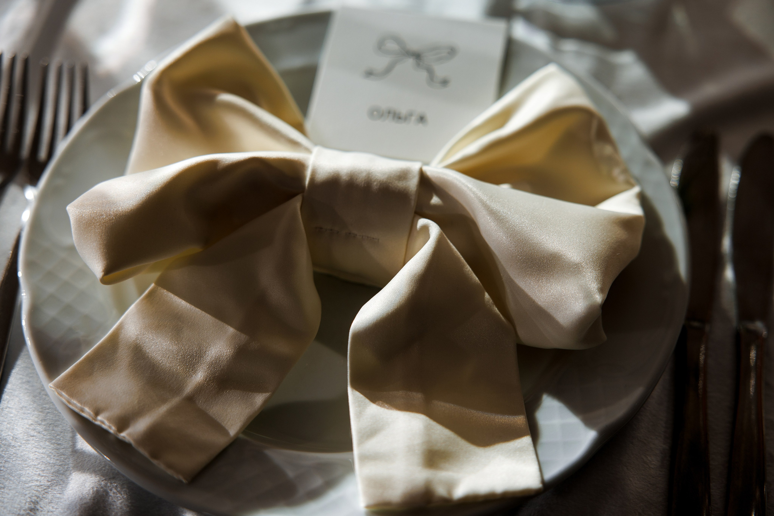 Кирилл & Анастасия. Организатор- Елена Гаманович. Главная