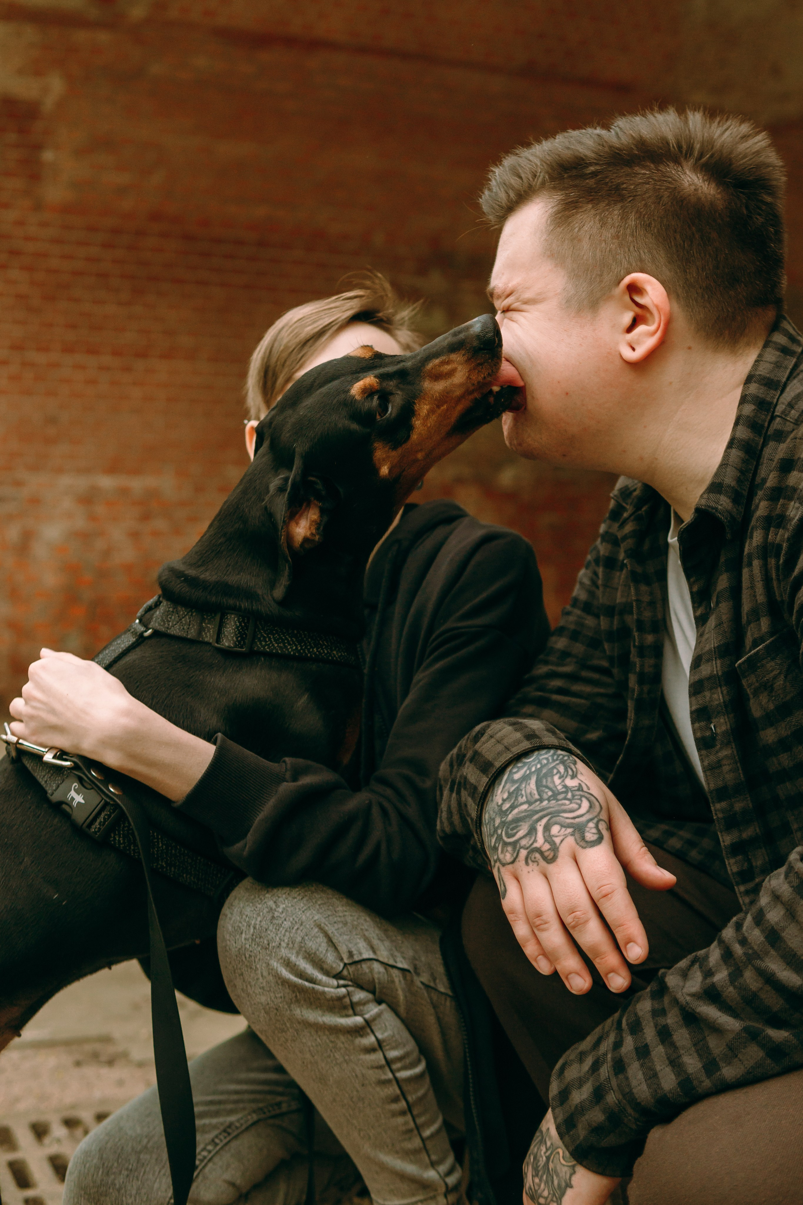 Кира, Максим и Аскара. Фотограф-анималист Ксения Воробьева, Москва